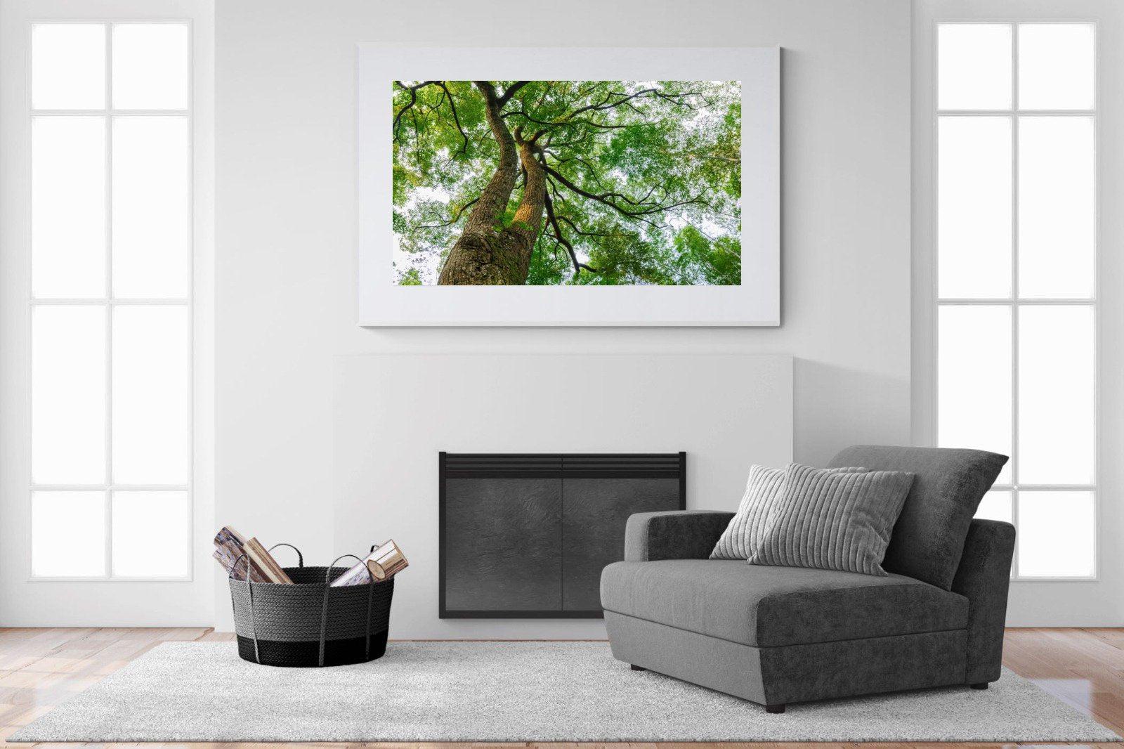 Tree Canopy-Wall_Art-150 x 100cm-Framed Print-White-Pixalot