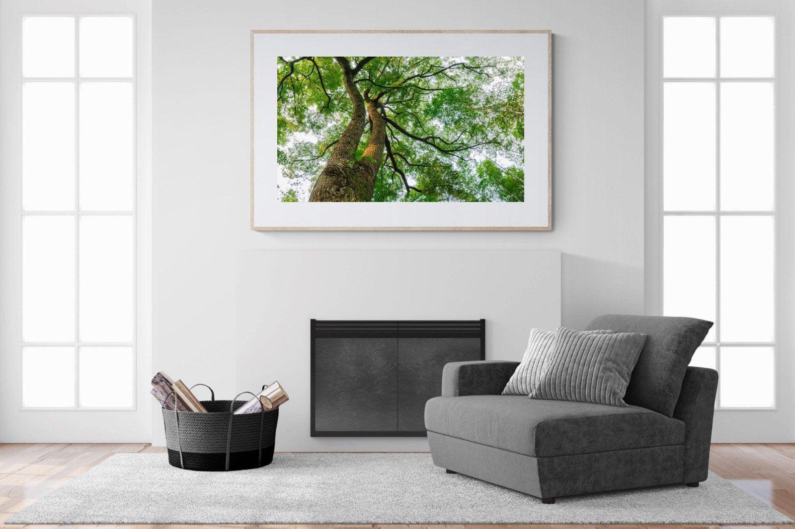 Tree Canopy-Wall_Art-150 x 100cm-Framed Print-Wood-Pixalot