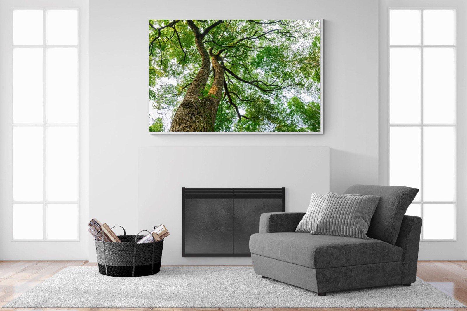 Tree Canopy-Wall_Art-150 x 100cm-Mounted Canvas-White-Pixalot