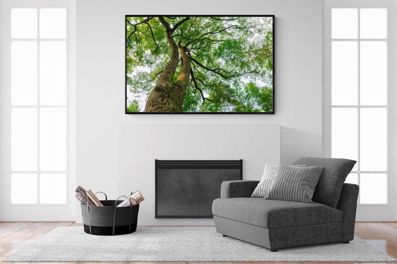 Tree Canopy-Wall_Art-150 x 100cm-Mounted Canvas-Black-Pixalot