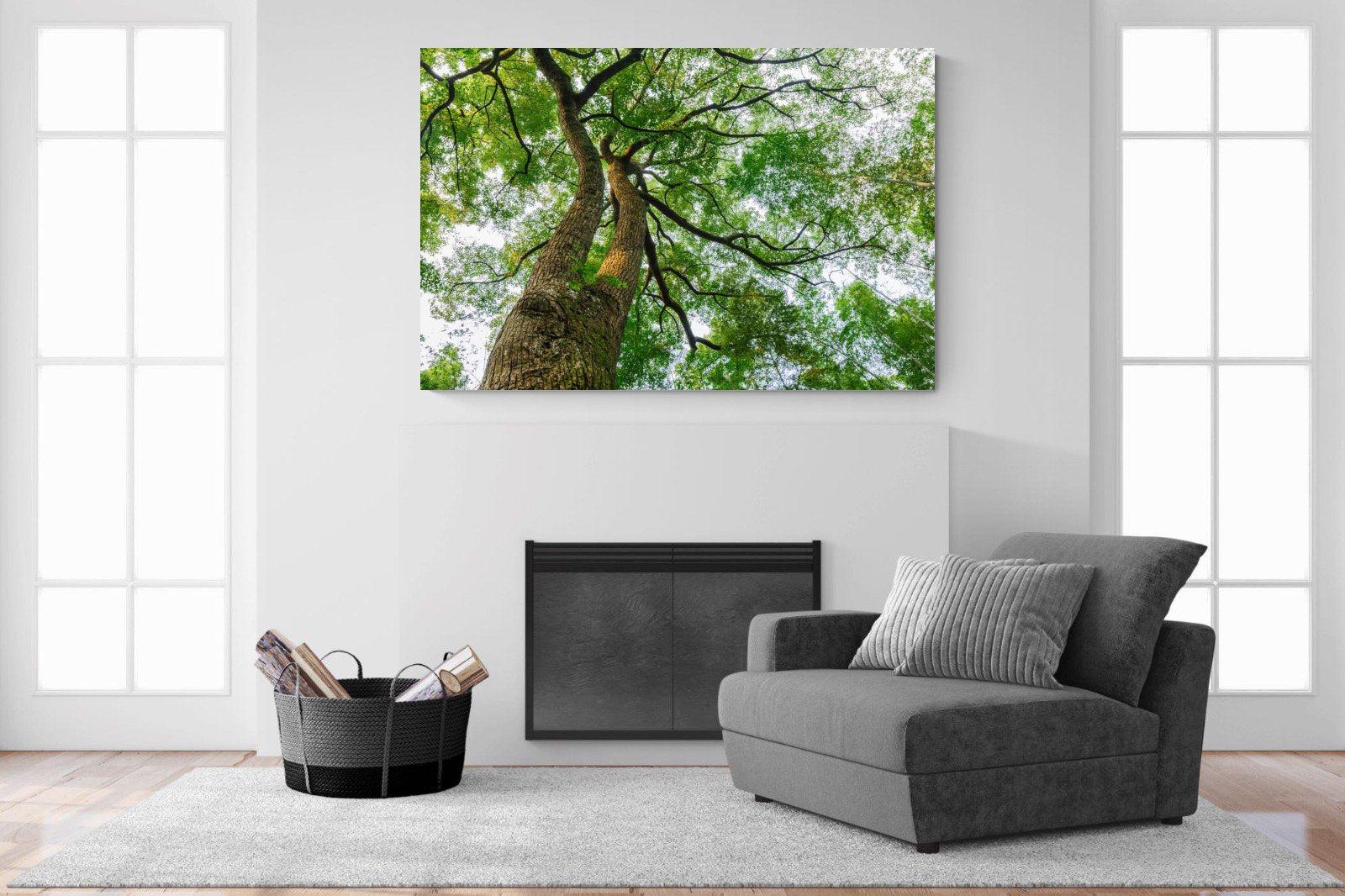 Tree Canopy-Wall_Art-150 x 100cm-Mounted Canvas-No Frame-Pixalot