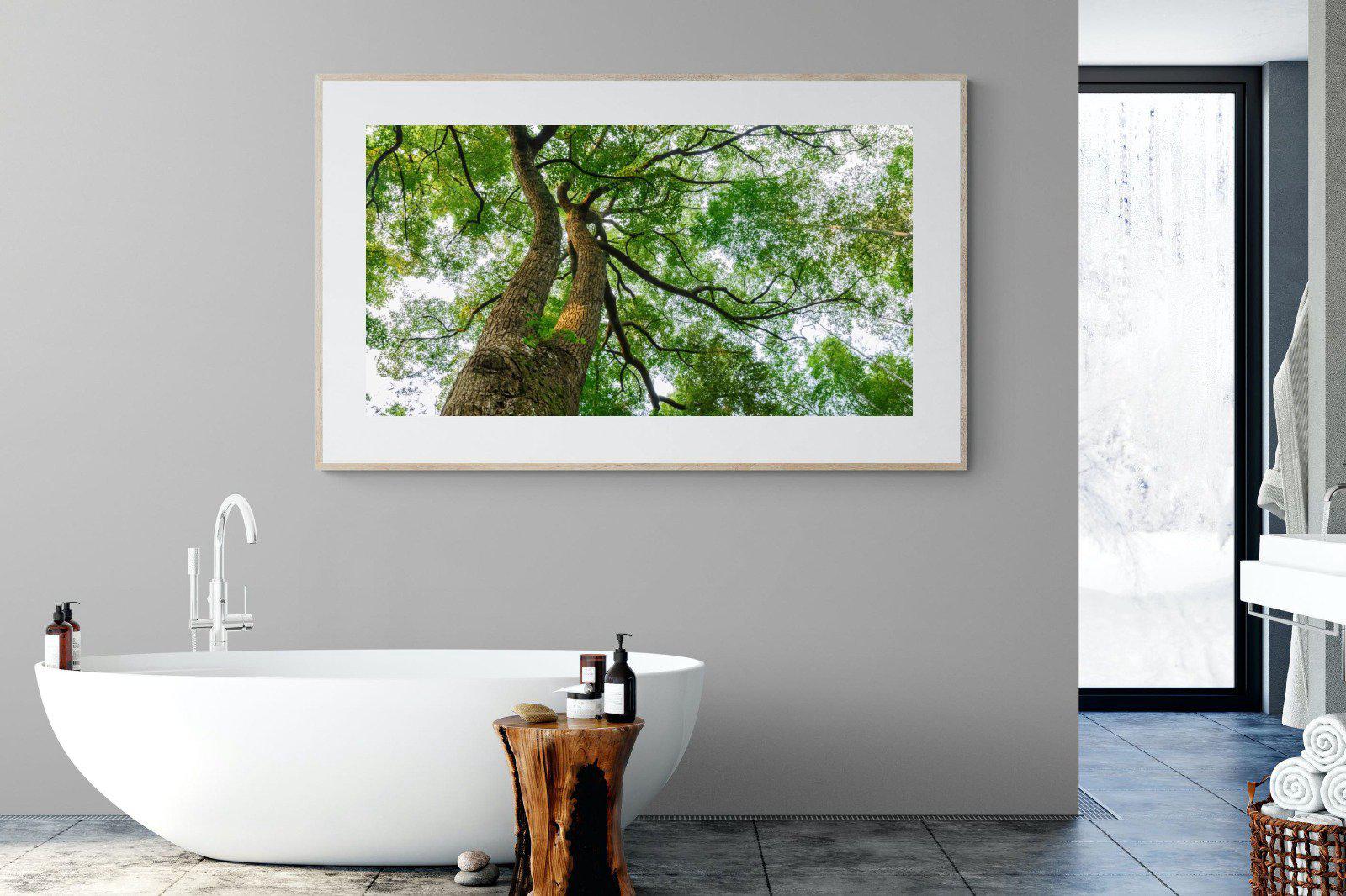 Tree Canopy-Wall_Art-180 x 110cm-Framed Print-Wood-Pixalot