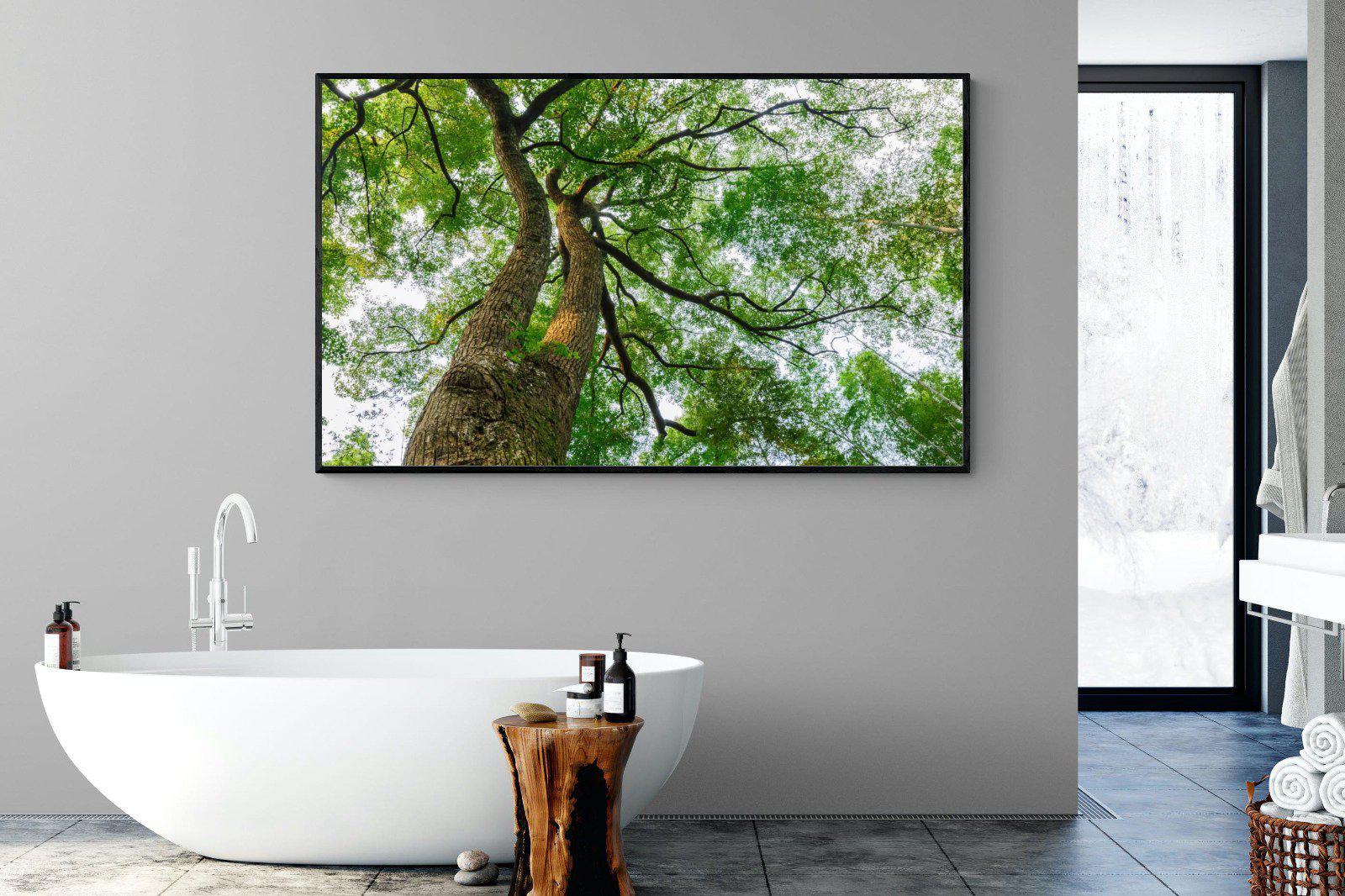 Tree Canopy-Wall_Art-180 x 110cm-Mounted Canvas-Black-Pixalot