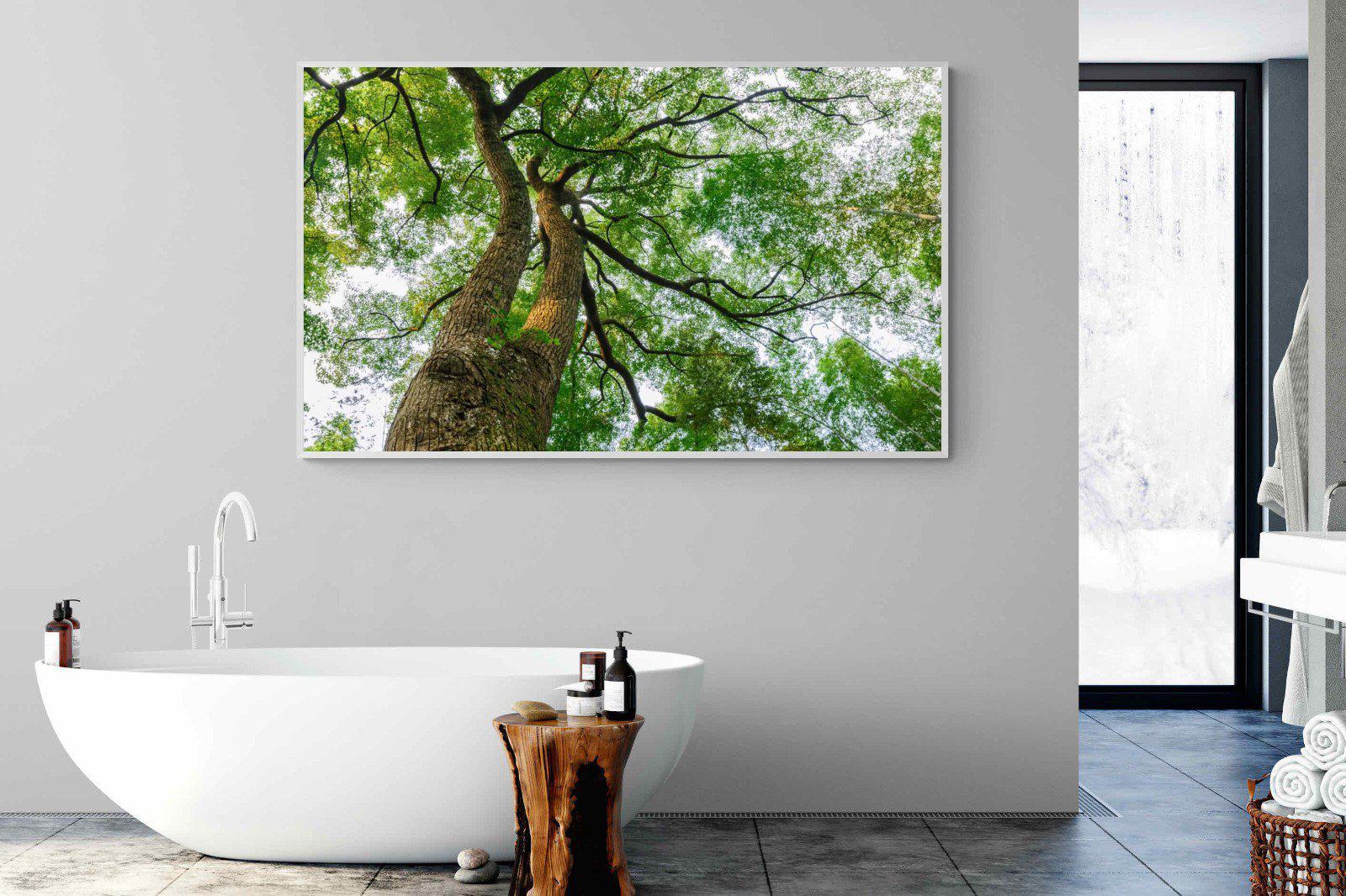 Tree Canopy-Wall_Art-180 x 110cm-Mounted Canvas-White-Pixalot