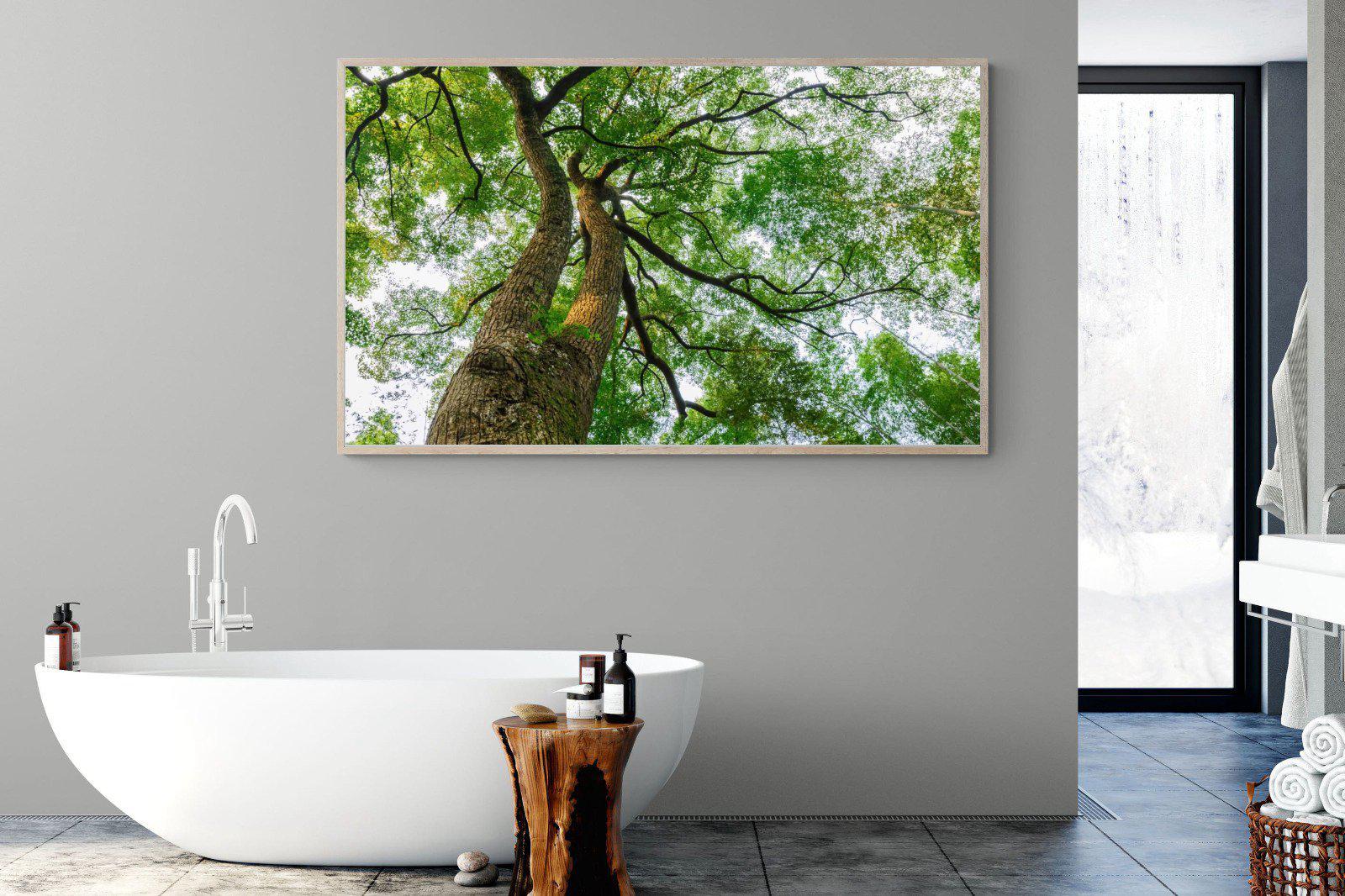 Tree Canopy-Wall_Art-180 x 110cm-Mounted Canvas-Wood-Pixalot