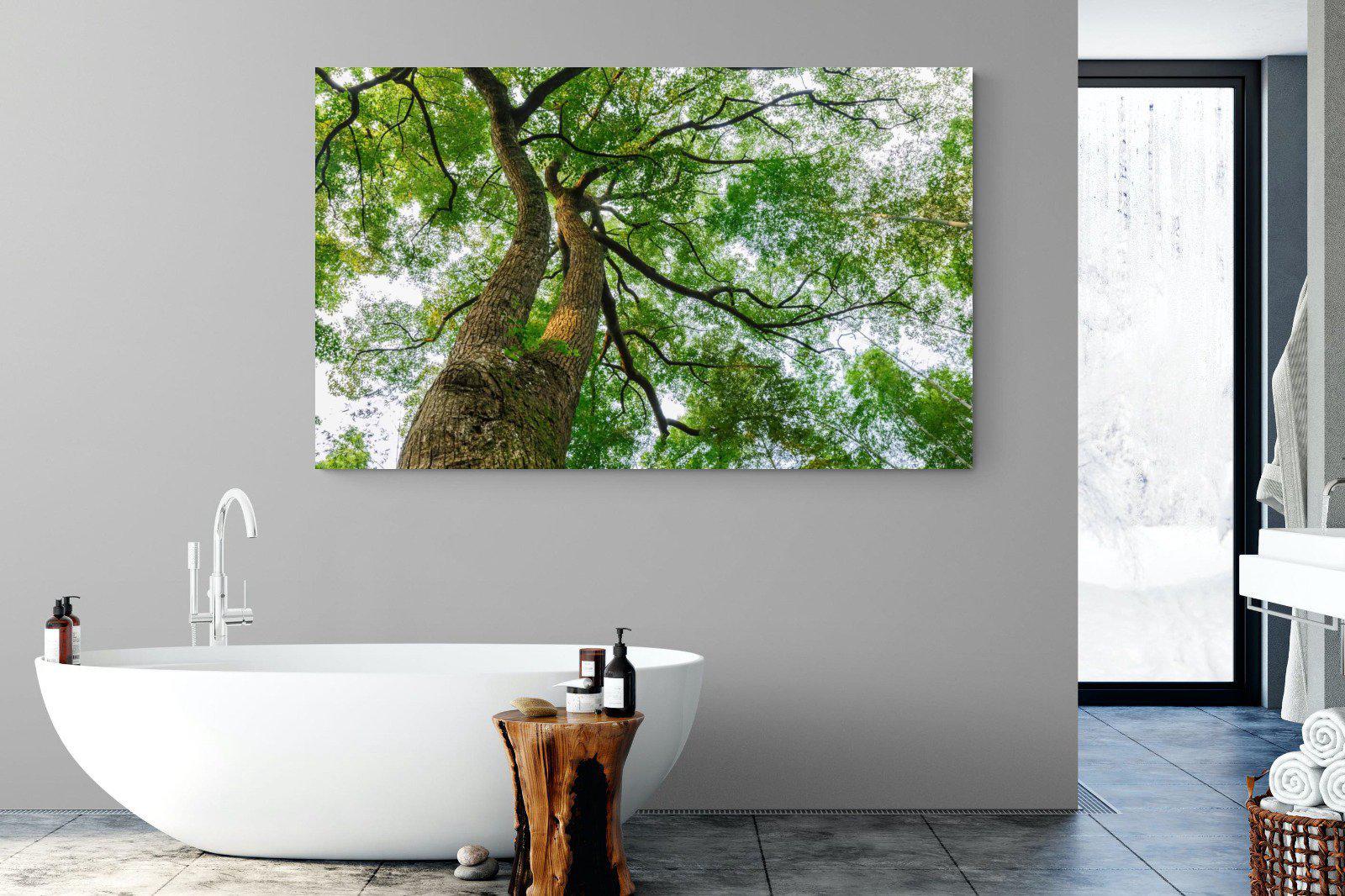 Tree Canopy-Wall_Art-180 x 110cm-Mounted Canvas-No Frame-Pixalot