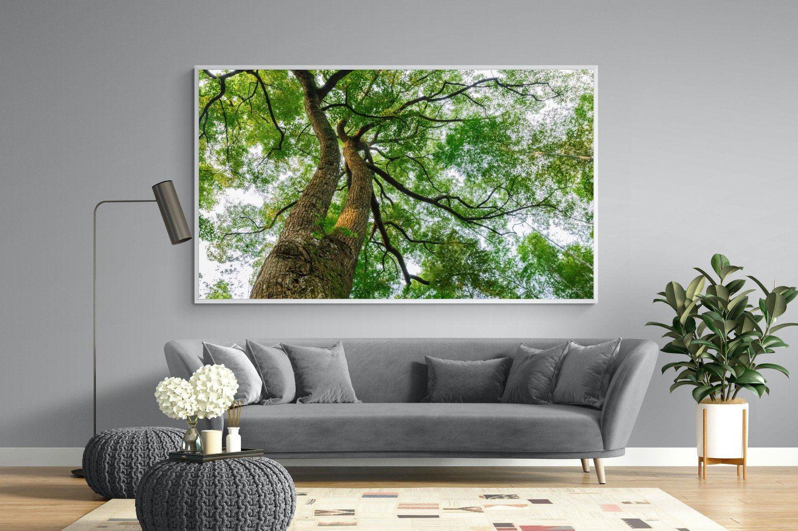 Tree Canopy-Wall_Art-220 x 130cm-Mounted Canvas-White-Pixalot