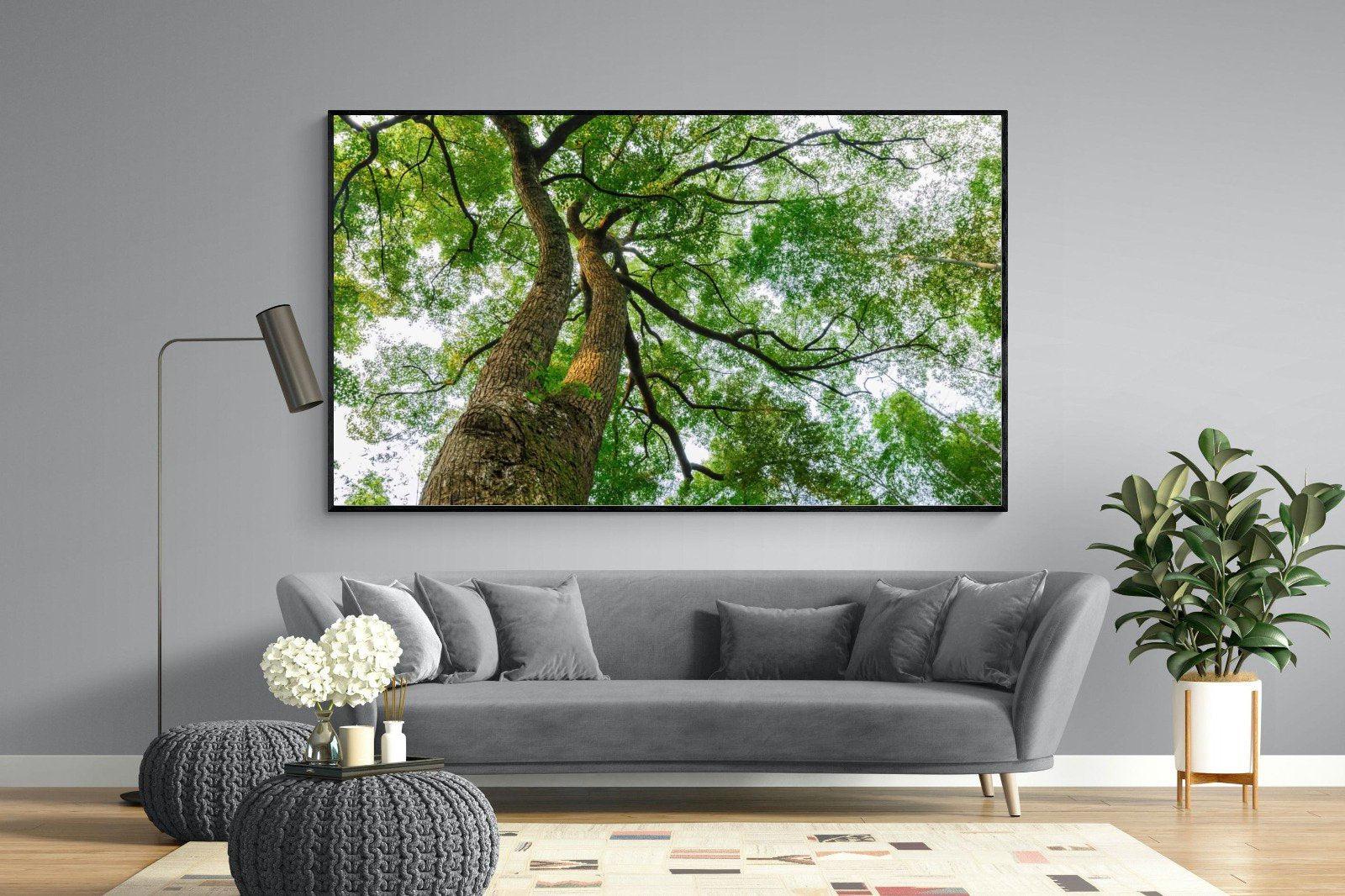 Tree Canopy-Wall_Art-220 x 130cm-Mounted Canvas-Black-Pixalot