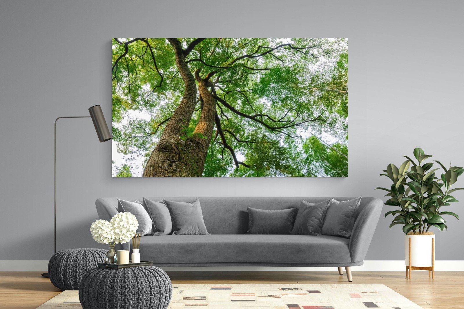 Tree Canopy-Wall_Art-220 x 130cm-Mounted Canvas-No Frame-Pixalot