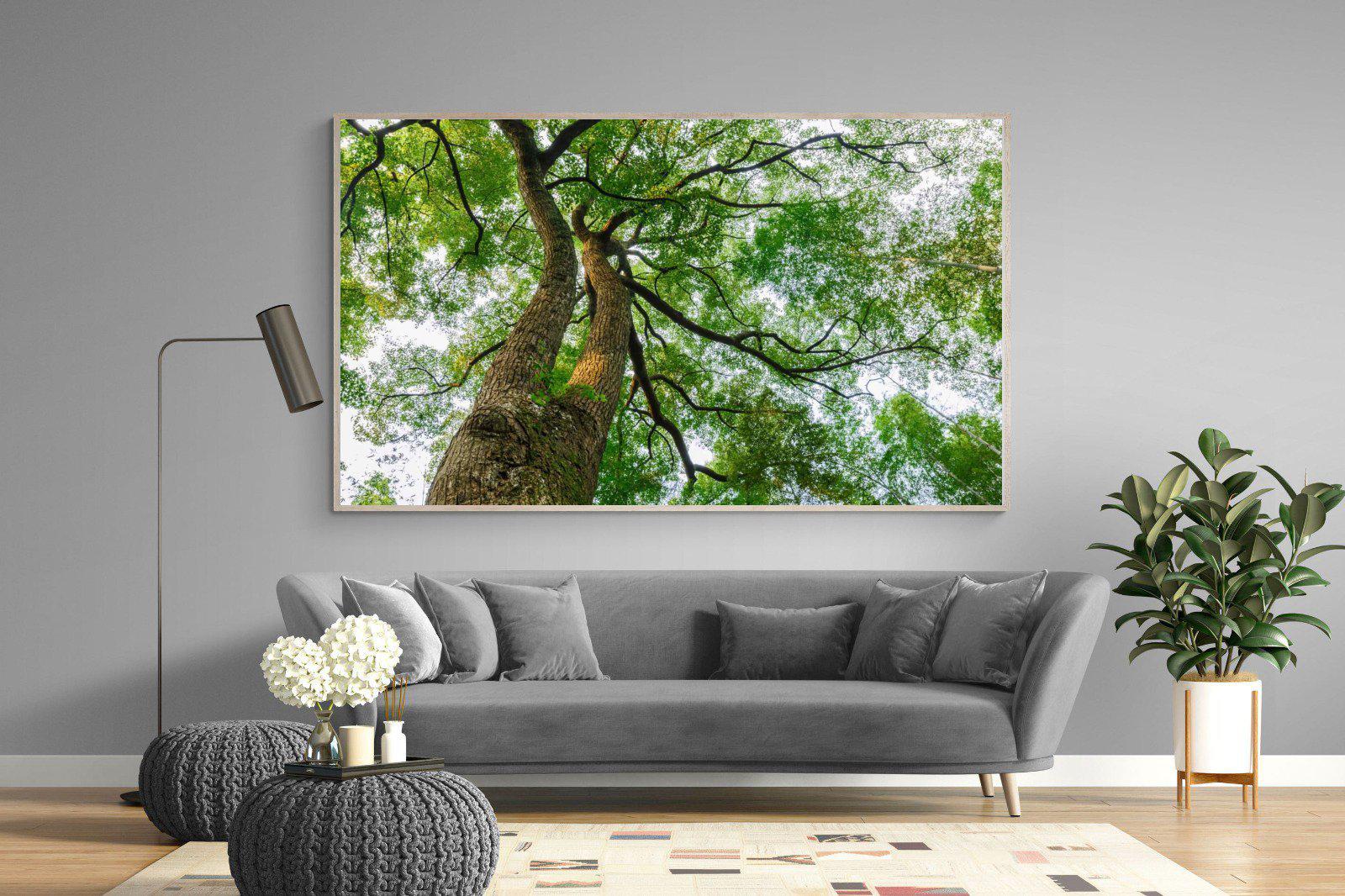 Tree Canopy-Wall_Art-220 x 130cm-Mounted Canvas-Wood-Pixalot
