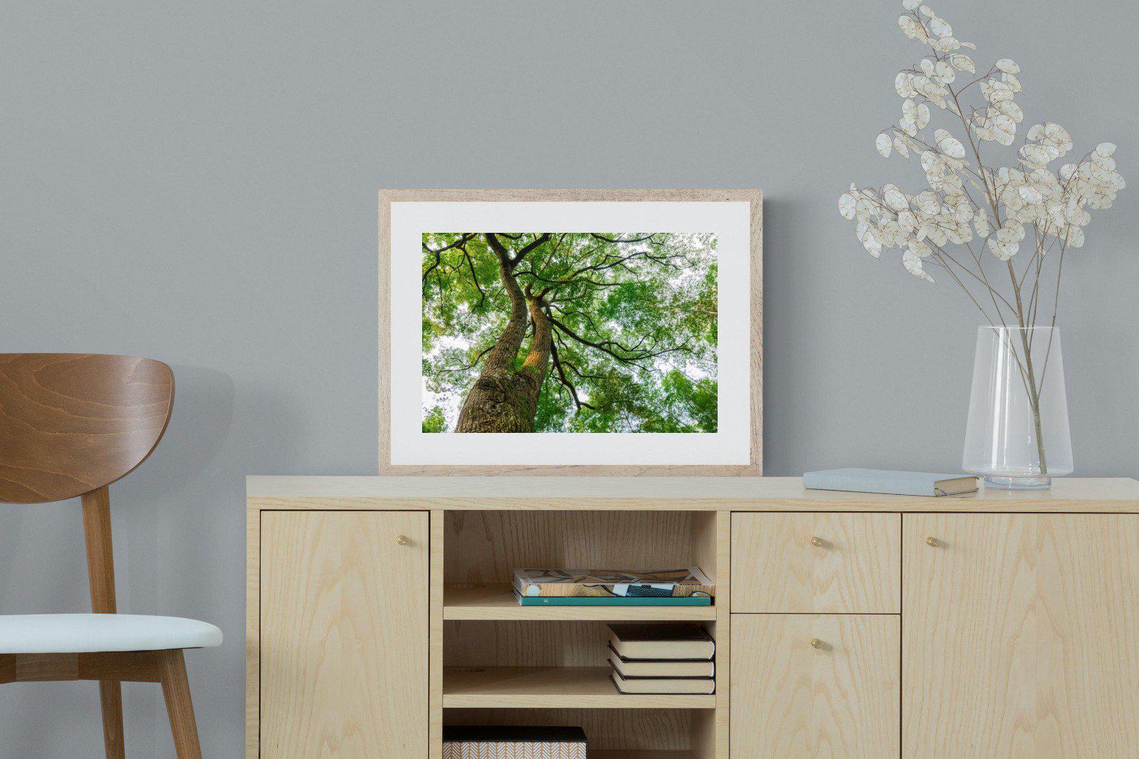 Tree Canopy-Wall_Art-60 x 45cm-Framed Print-Wood-Pixalot