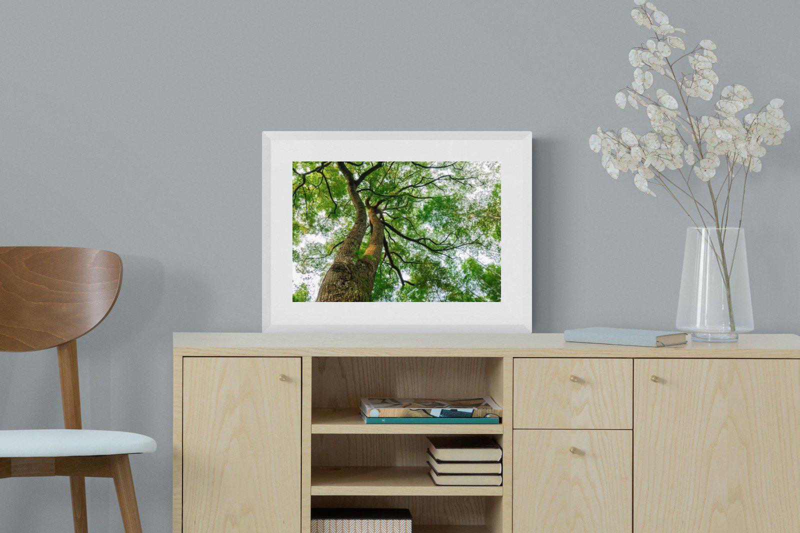 Tree Canopy-Wall_Art-60 x 45cm-Framed Print-White-Pixalot