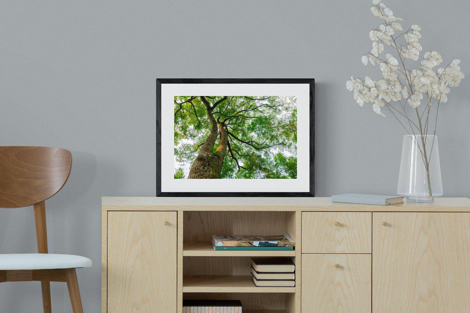 Tree Canopy-Wall_Art-60 x 45cm-Framed Print-Black-Pixalot