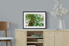 Tree Canopy-Wall_Art-60 x 45cm-Framed Print-Black-Pixalot