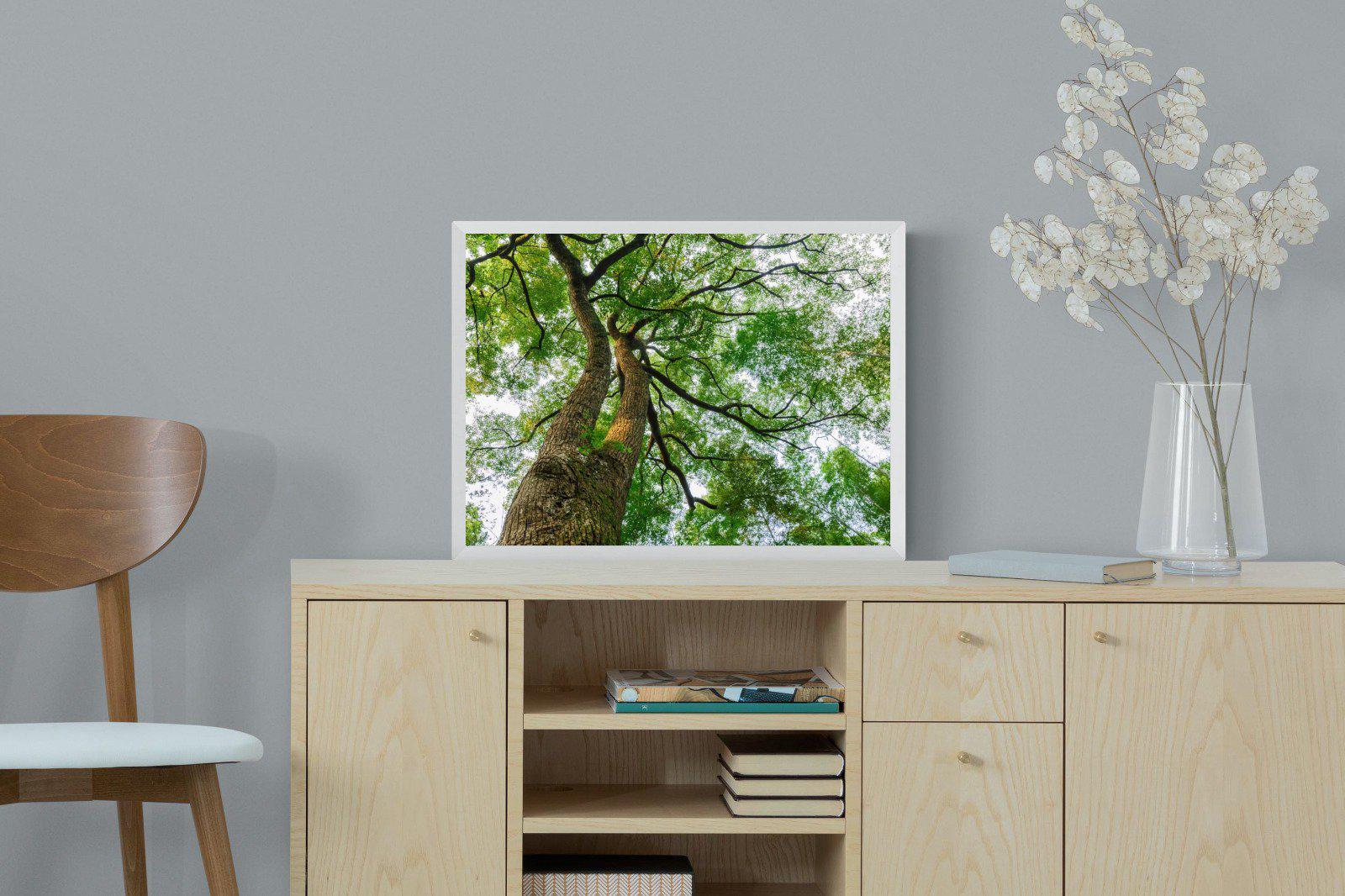 Tree Canopy-Wall_Art-60 x 45cm-Mounted Canvas-White-Pixalot