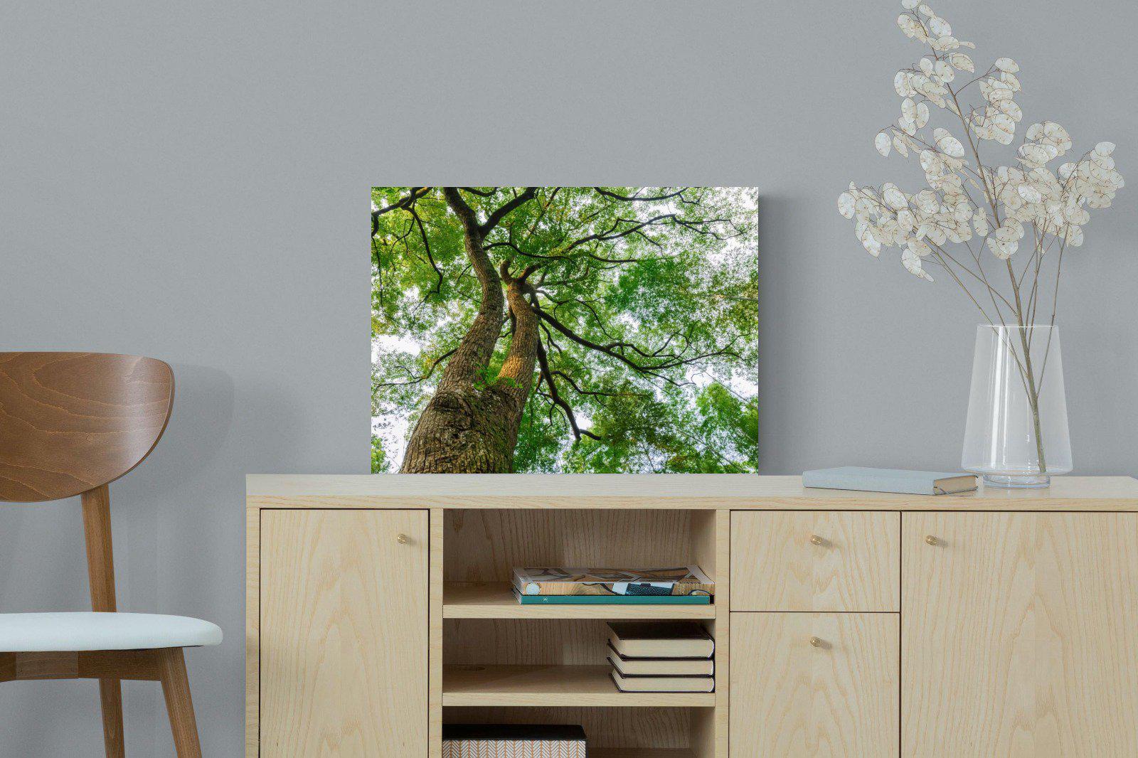 Tree Canopy-Wall_Art-60 x 45cm-Mounted Canvas-No Frame-Pixalot