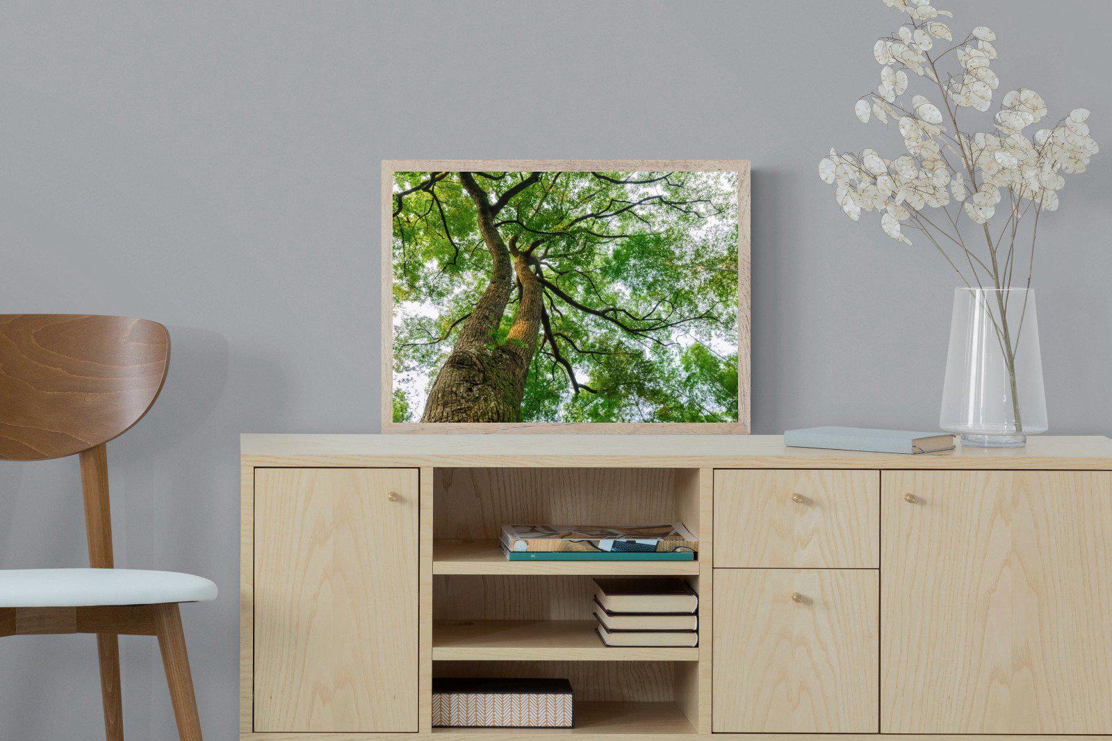Tree Canopy-Wall_Art-60 x 45cm-Mounted Canvas-Wood-Pixalot