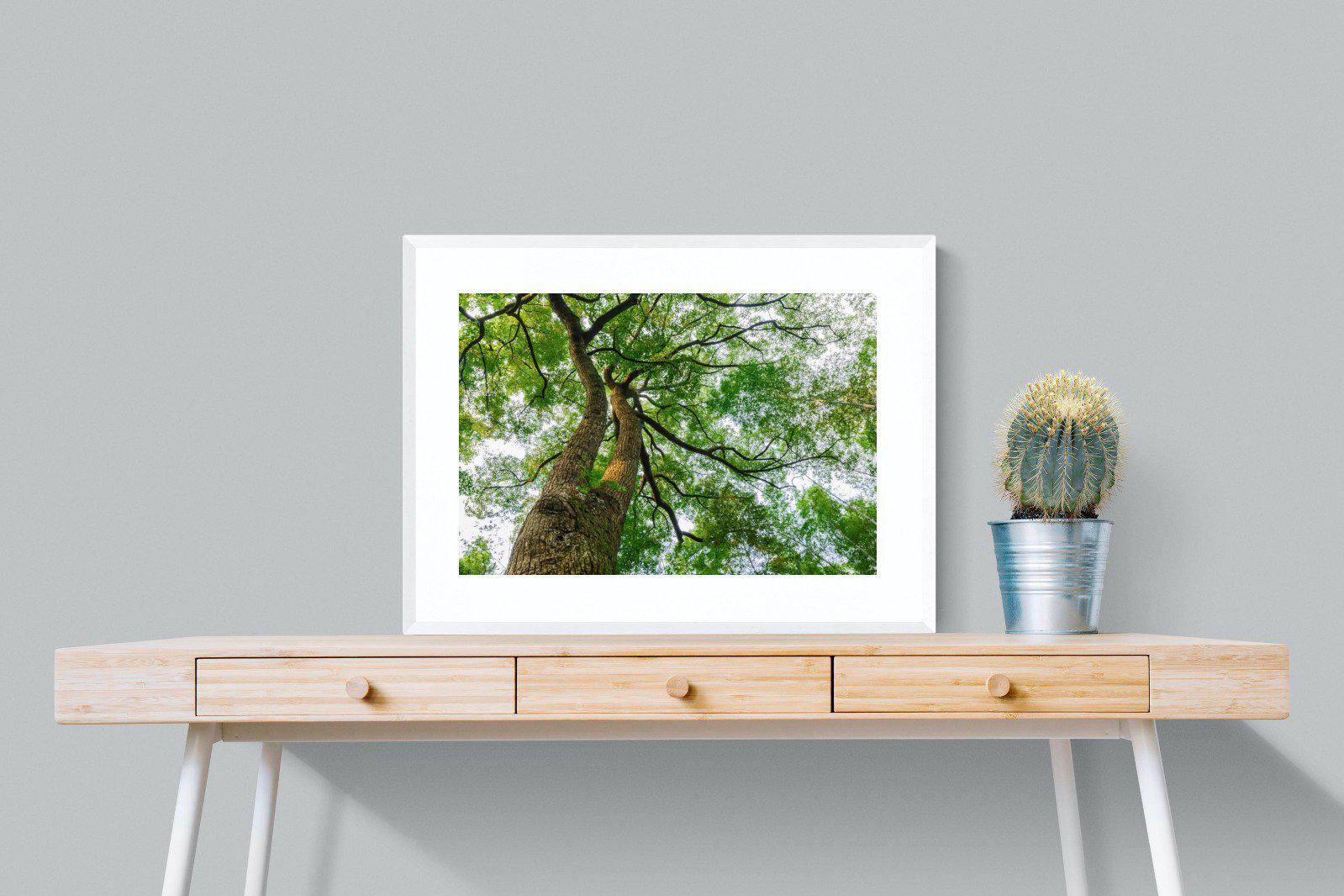 Tree Canopy-Wall_Art-80 x 60cm-Framed Print-White-Pixalot