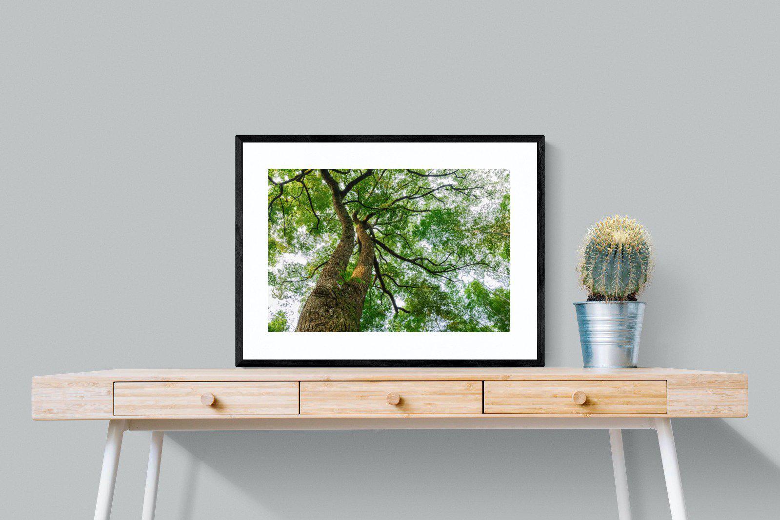 Tree Canopy-Wall_Art-80 x 60cm-Framed Print-Black-Pixalot