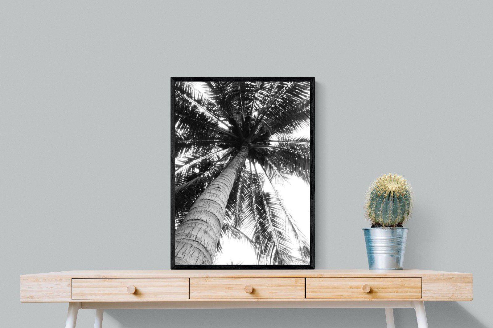 Tree Fan-Wall_Art-60 x 80cm-Mounted Canvas-Black-Pixalot