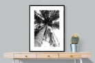 Tree Fan-Wall_Art-75 x 100cm-Framed Print-Black-Pixalot