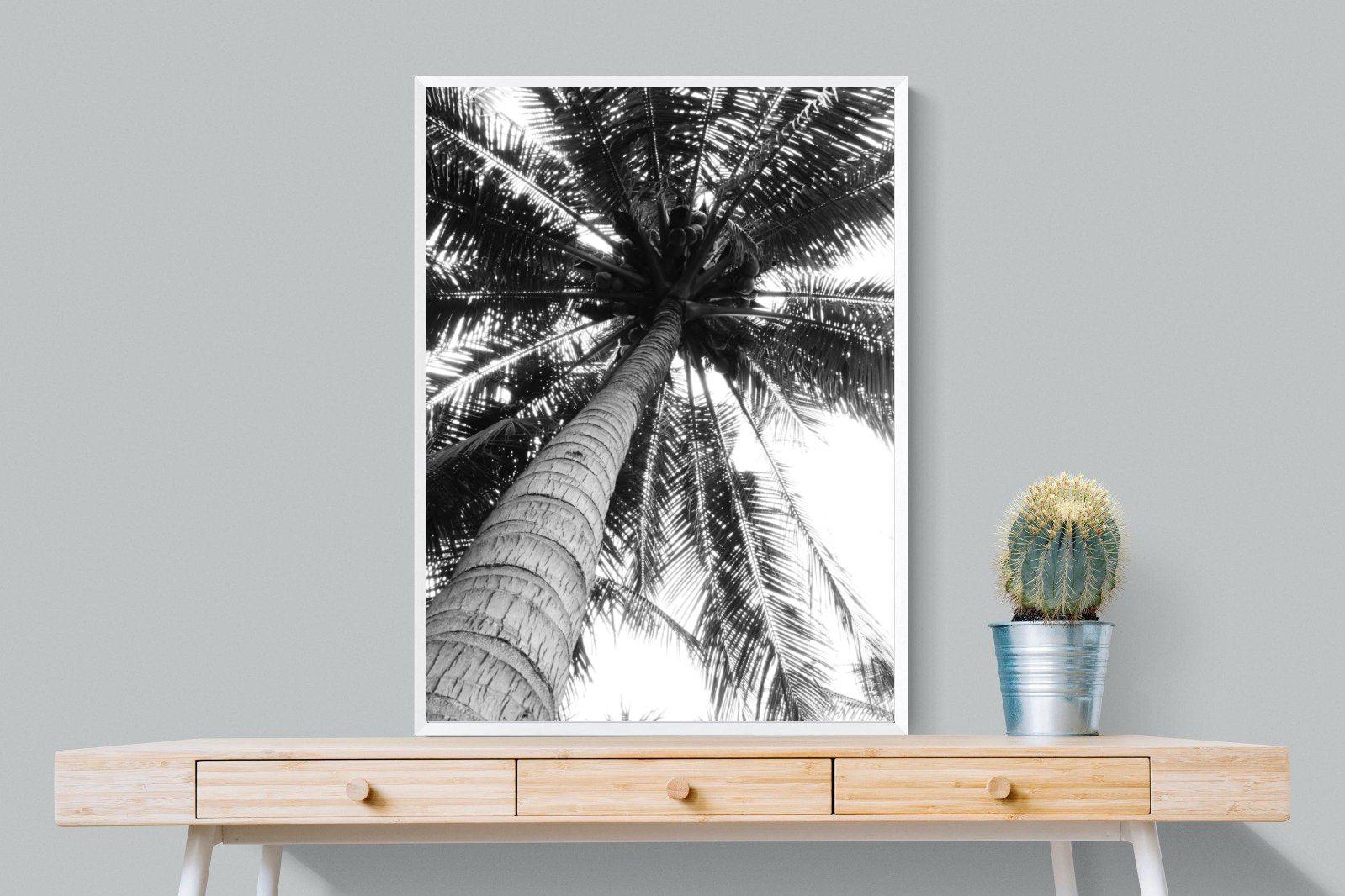 Tree Fan-Wall_Art-75 x 100cm-Mounted Canvas-White-Pixalot
