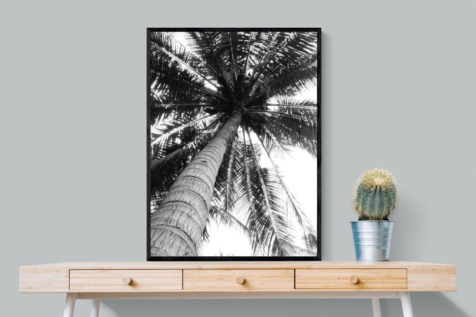 Tree Fan-Wall_Art-75 x 100cm-Mounted Canvas-Black-Pixalot