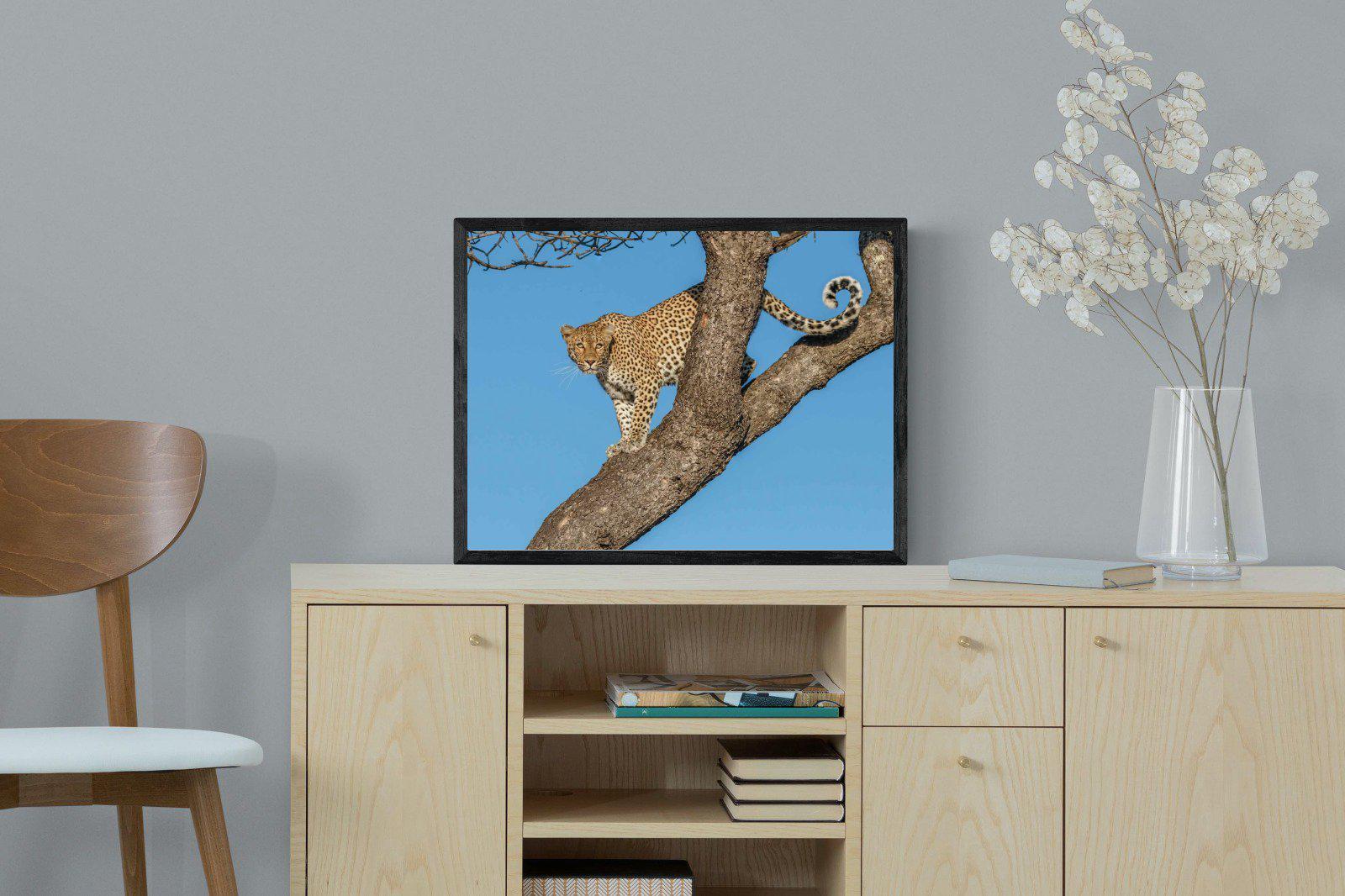 Tree Leopard-Wall_Art-60 x 45cm-Mounted Canvas-Black-Pixalot