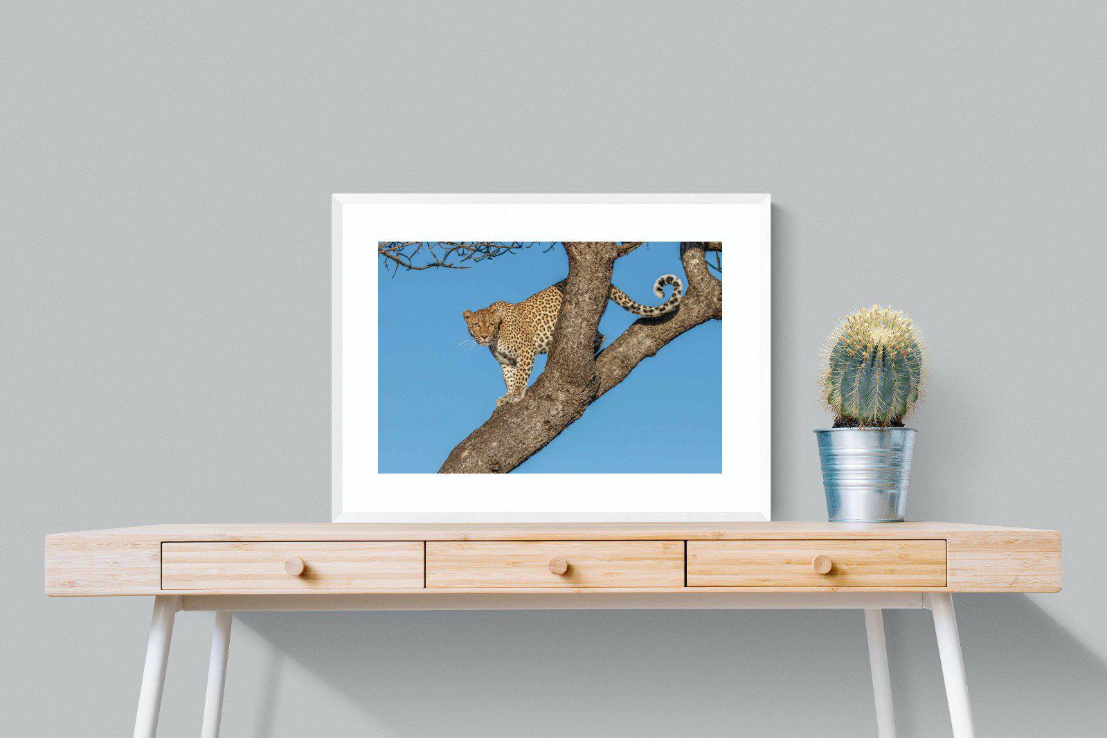 Tree Leopard-Wall_Art-80 x 60cm-Framed Print-White-Pixalot