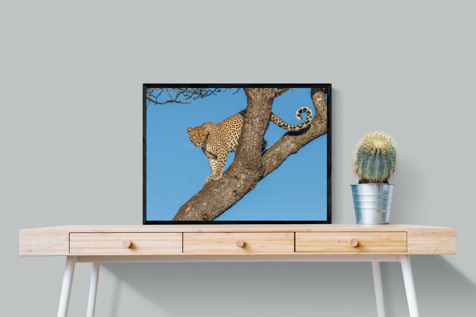 Tree Leopard-Wall_Art-80 x 60cm-Mounted Canvas-Black-Pixalot