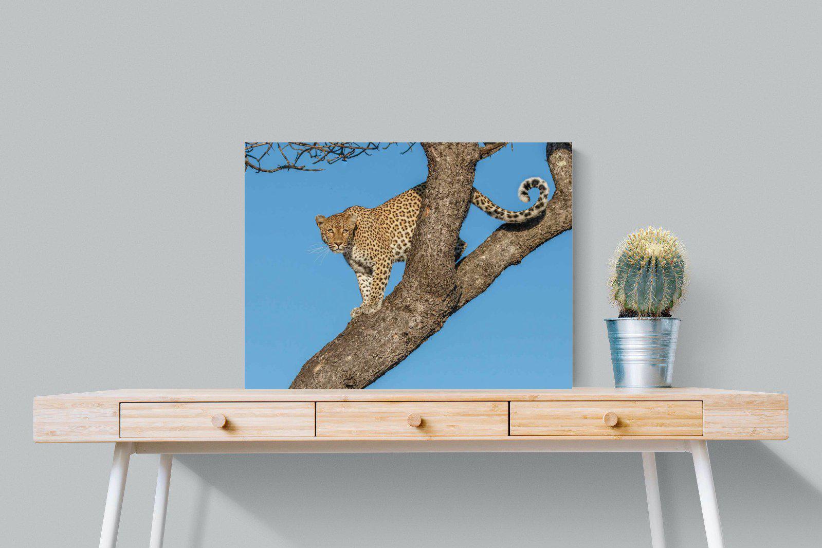 Tree Leopard-Wall_Art-80 x 60cm-Mounted Canvas-No Frame-Pixalot