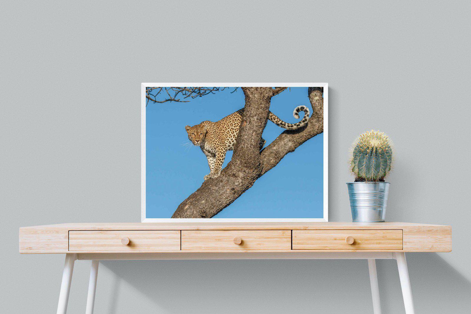 Tree Leopard-Wall_Art-80 x 60cm-Mounted Canvas-White-Pixalot