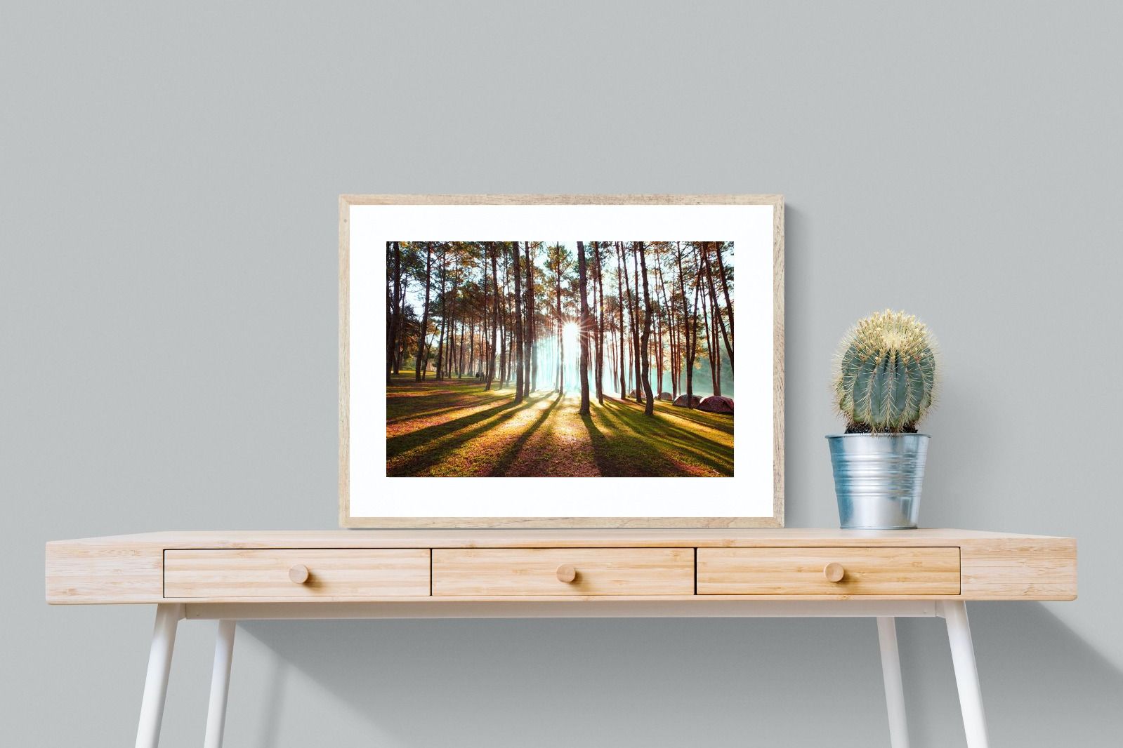 Tree Light-Wall_Art-80 x 60cm-Framed Print-Wood-Pixalot