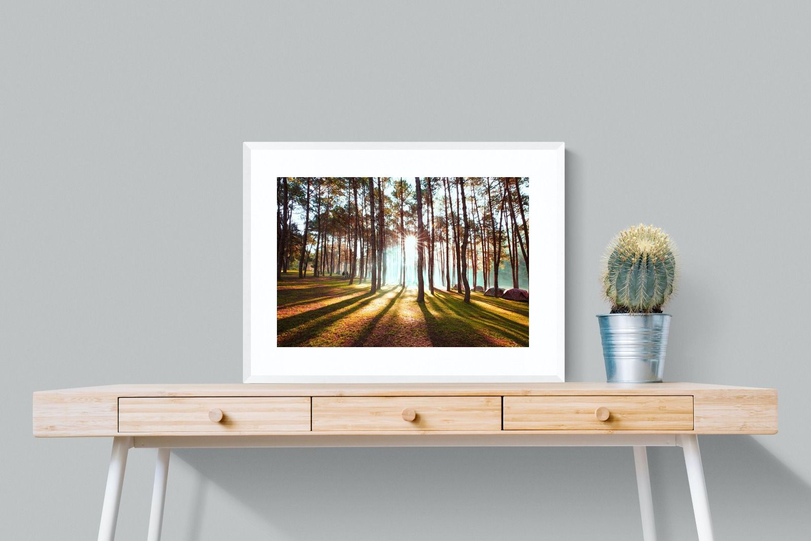 Tree Light-Wall_Art-80 x 60cm-Framed Print-White-Pixalot