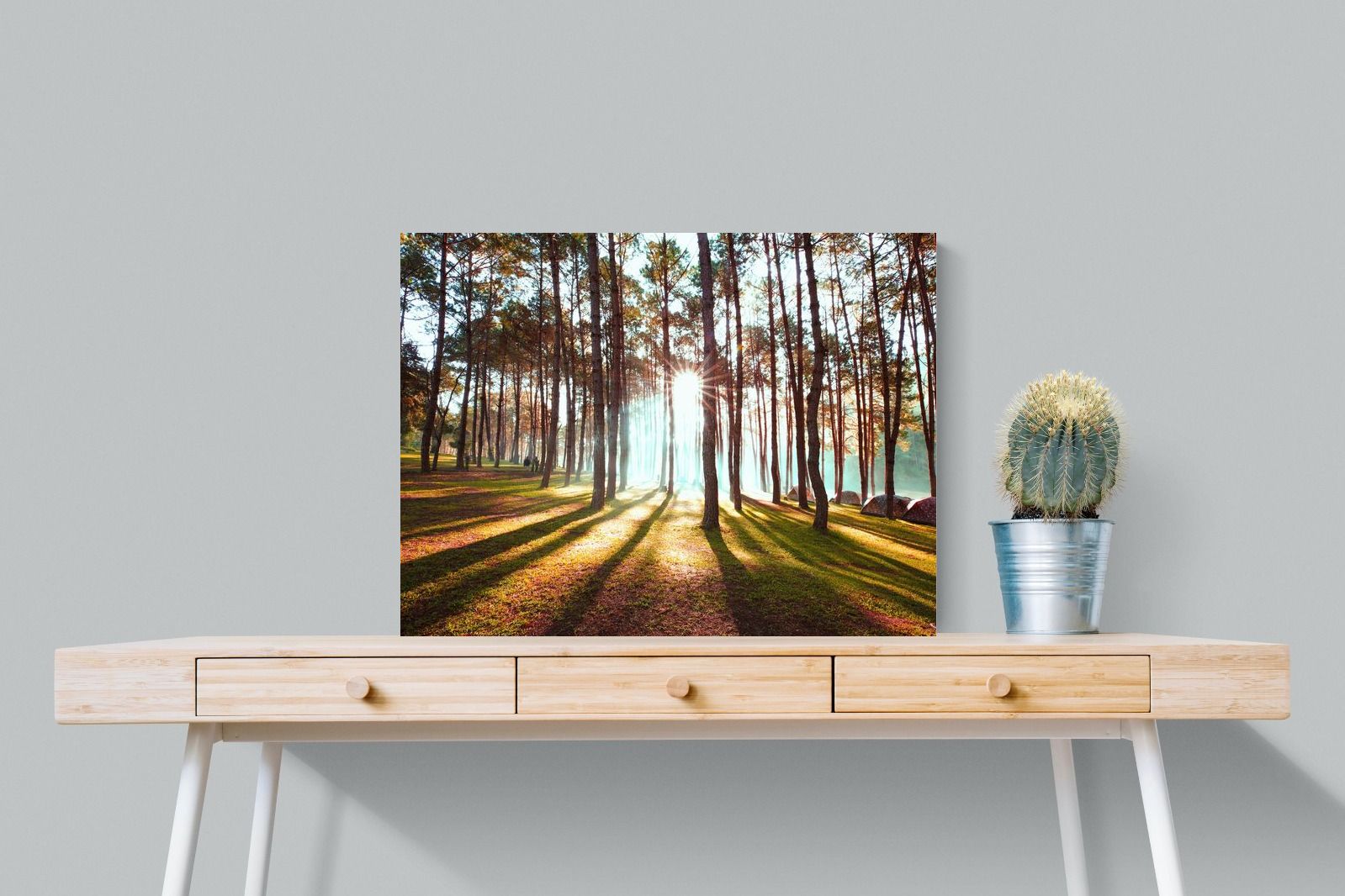 Tree Light-Wall_Art-80 x 60cm-Mounted Canvas-No Frame-Pixalot
