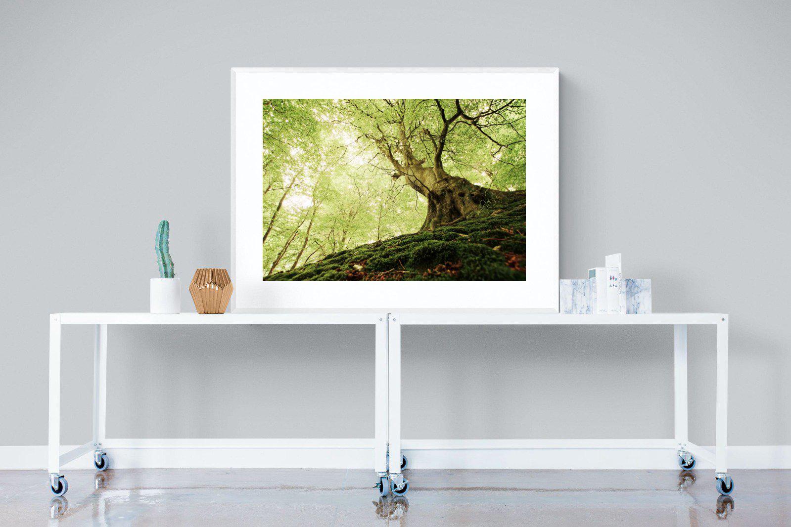 Tree-Wall_Art-120 x 90cm-Framed Print-White-Pixalot