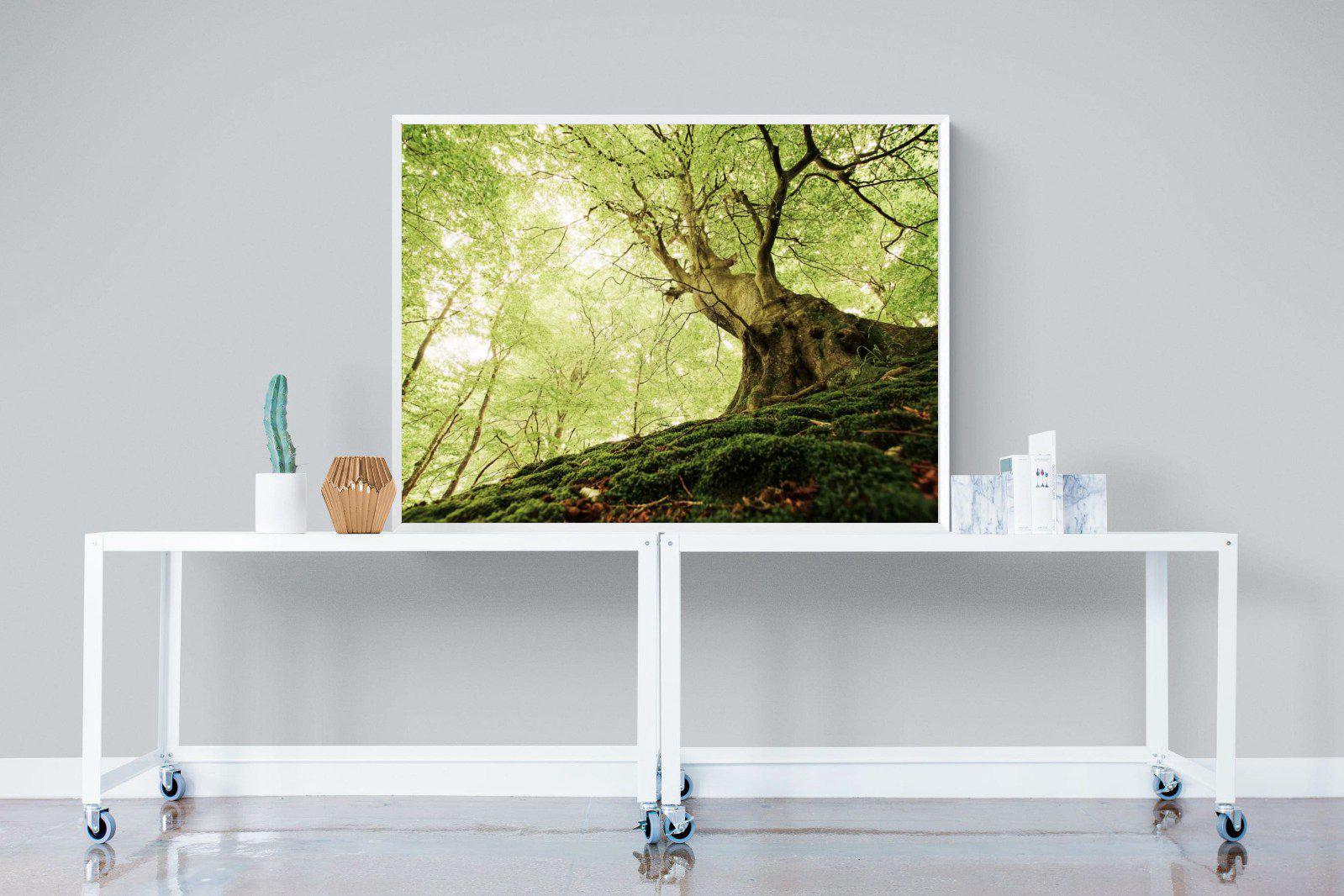 Tree-Wall_Art-120 x 90cm-Mounted Canvas-White-Pixalot