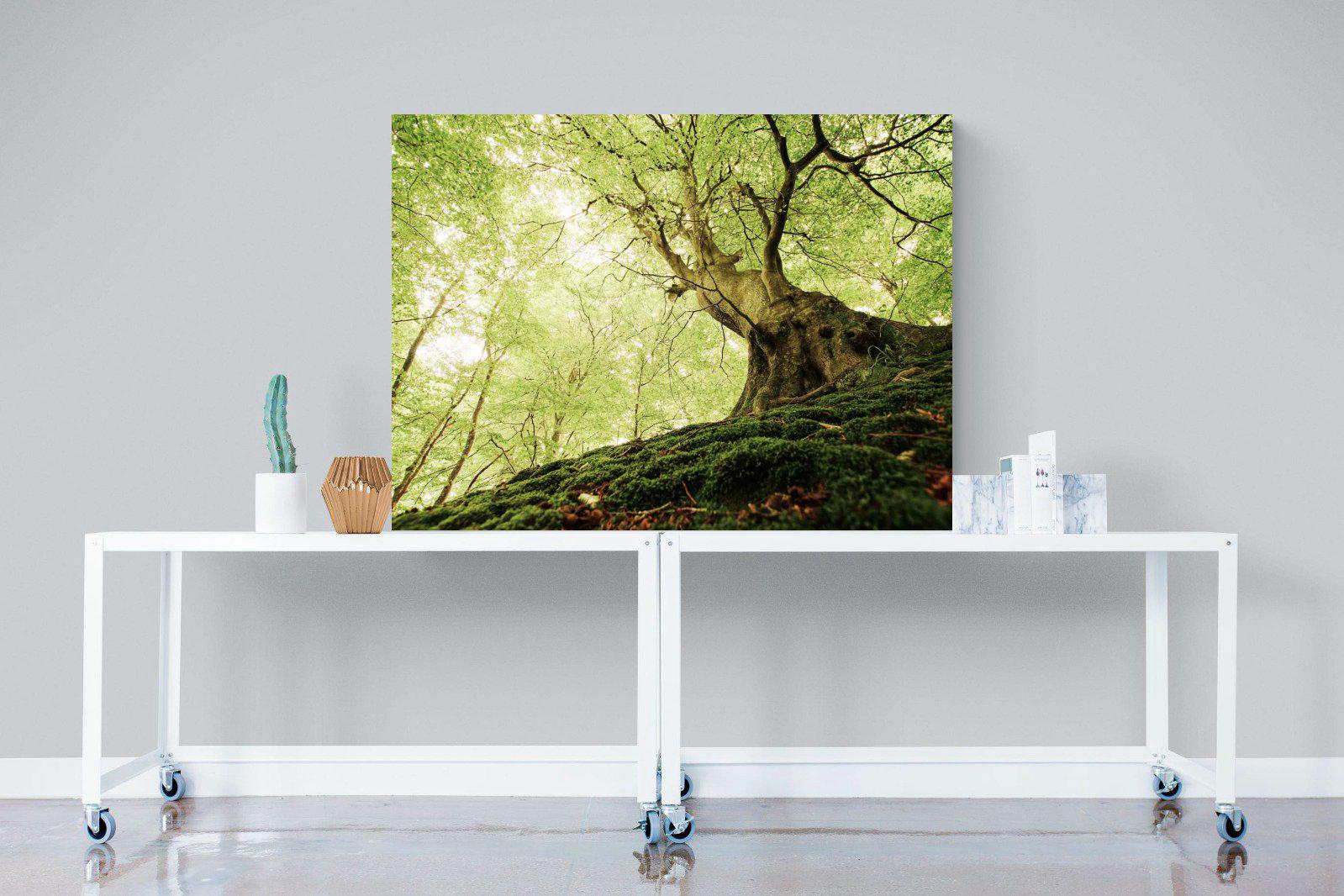 Tree-Wall_Art-120 x 90cm-Mounted Canvas-No Frame-Pixalot