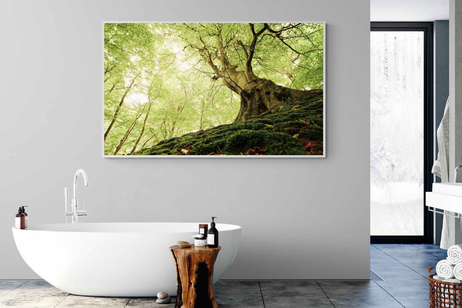 Tree-Wall_Art-180 x 110cm-Mounted Canvas-White-Pixalot