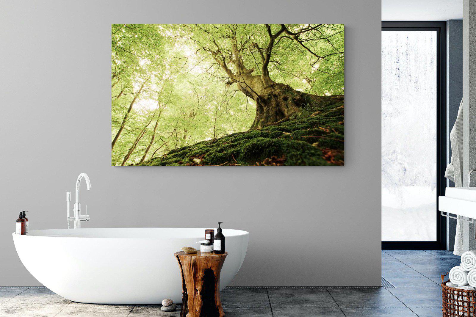 Tree-Wall_Art-180 x 110cm-Mounted Canvas-No Frame-Pixalot