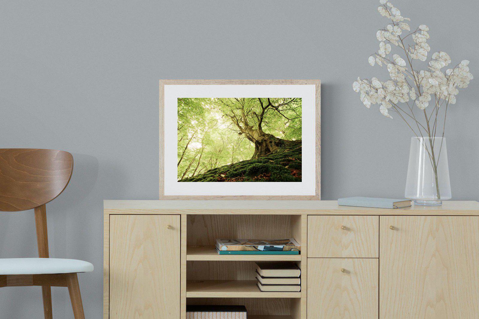 Tree-Wall_Art-60 x 45cm-Framed Print-Wood-Pixalot