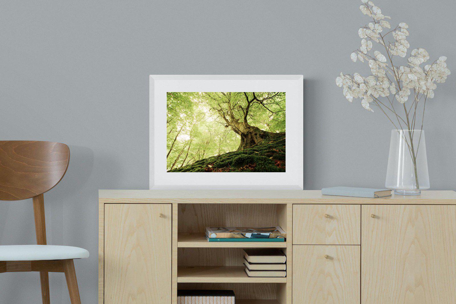 Tree-Wall_Art-60 x 45cm-Framed Print-White-Pixalot