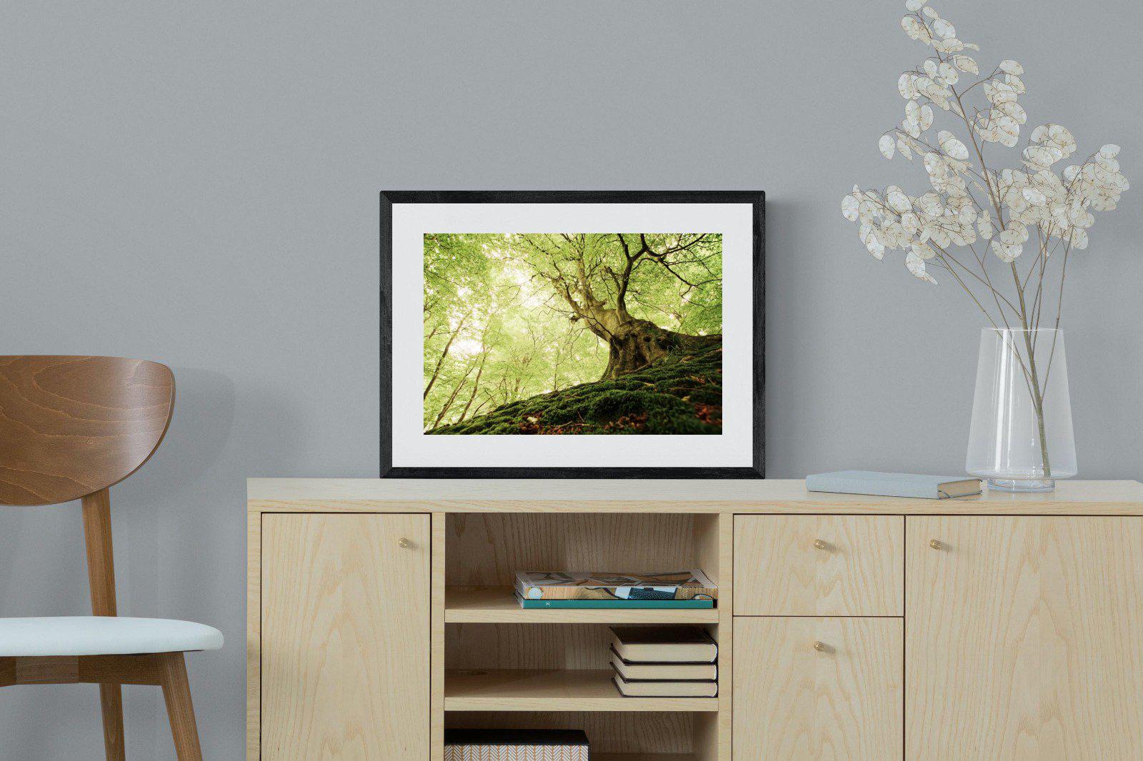Tree-Wall_Art-60 x 45cm-Framed Print-Black-Pixalot