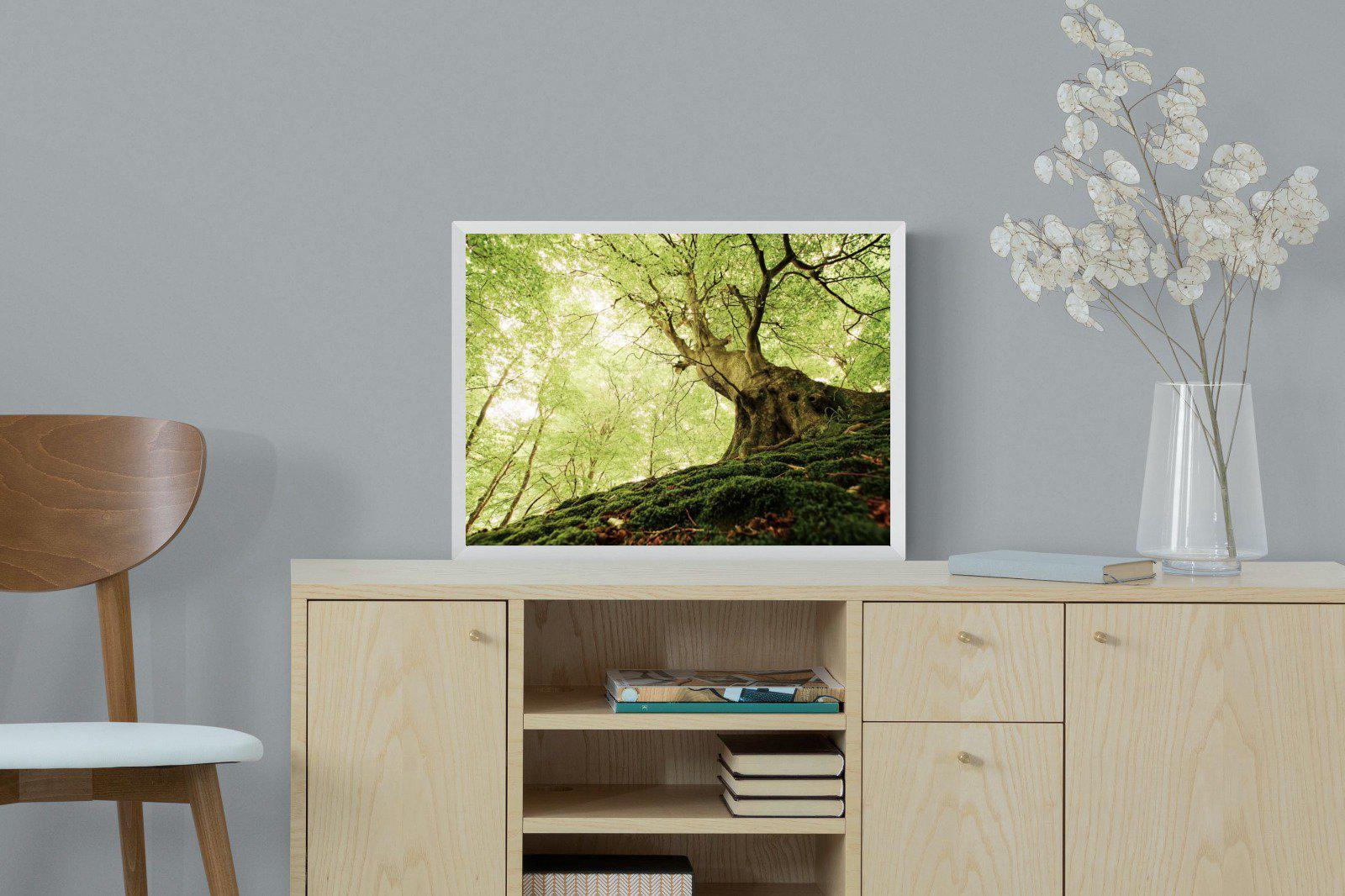 Tree-Wall_Art-60 x 45cm-Mounted Canvas-White-Pixalot