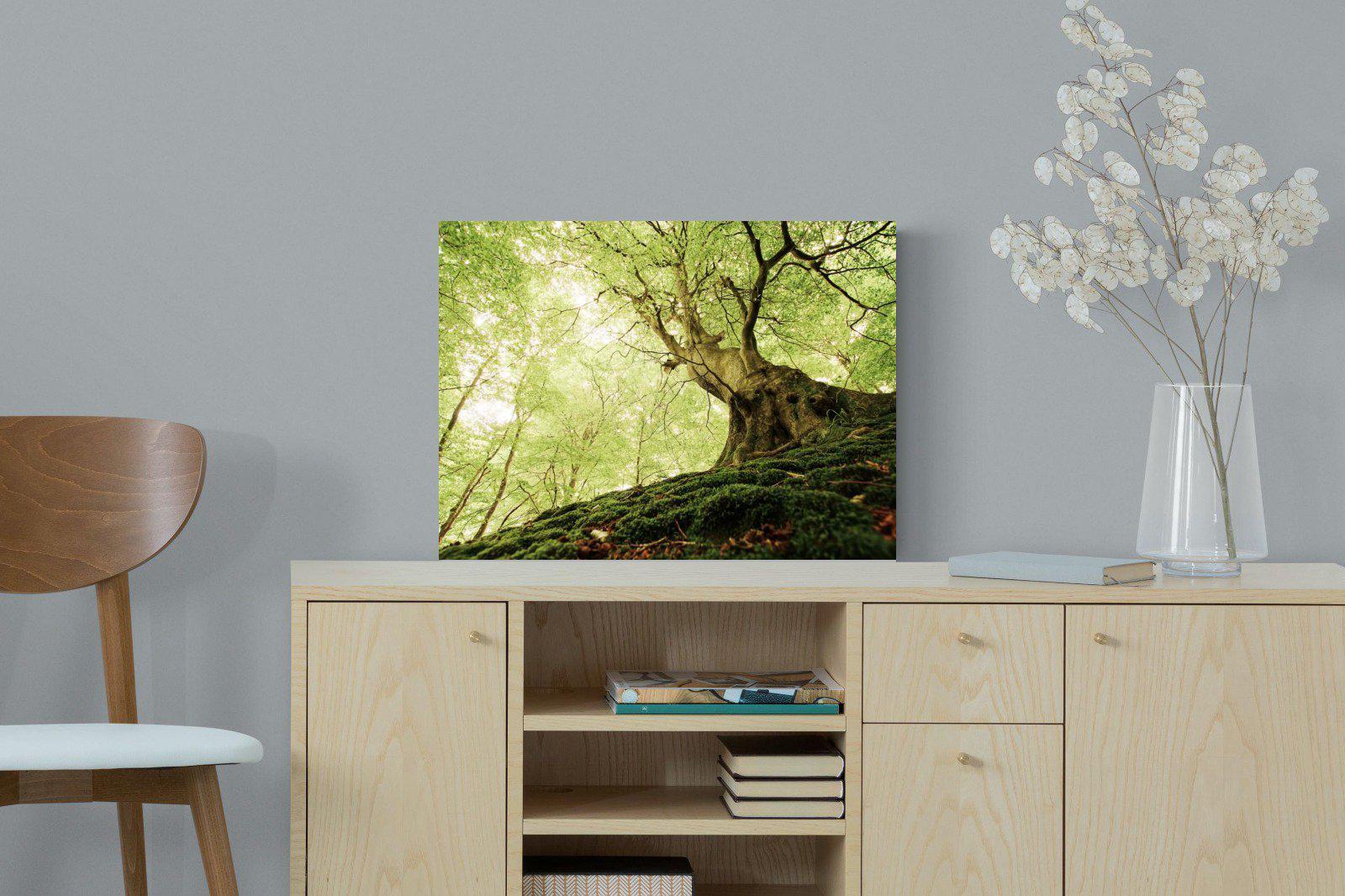 Tree-Wall_Art-60 x 45cm-Mounted Canvas-No Frame-Pixalot