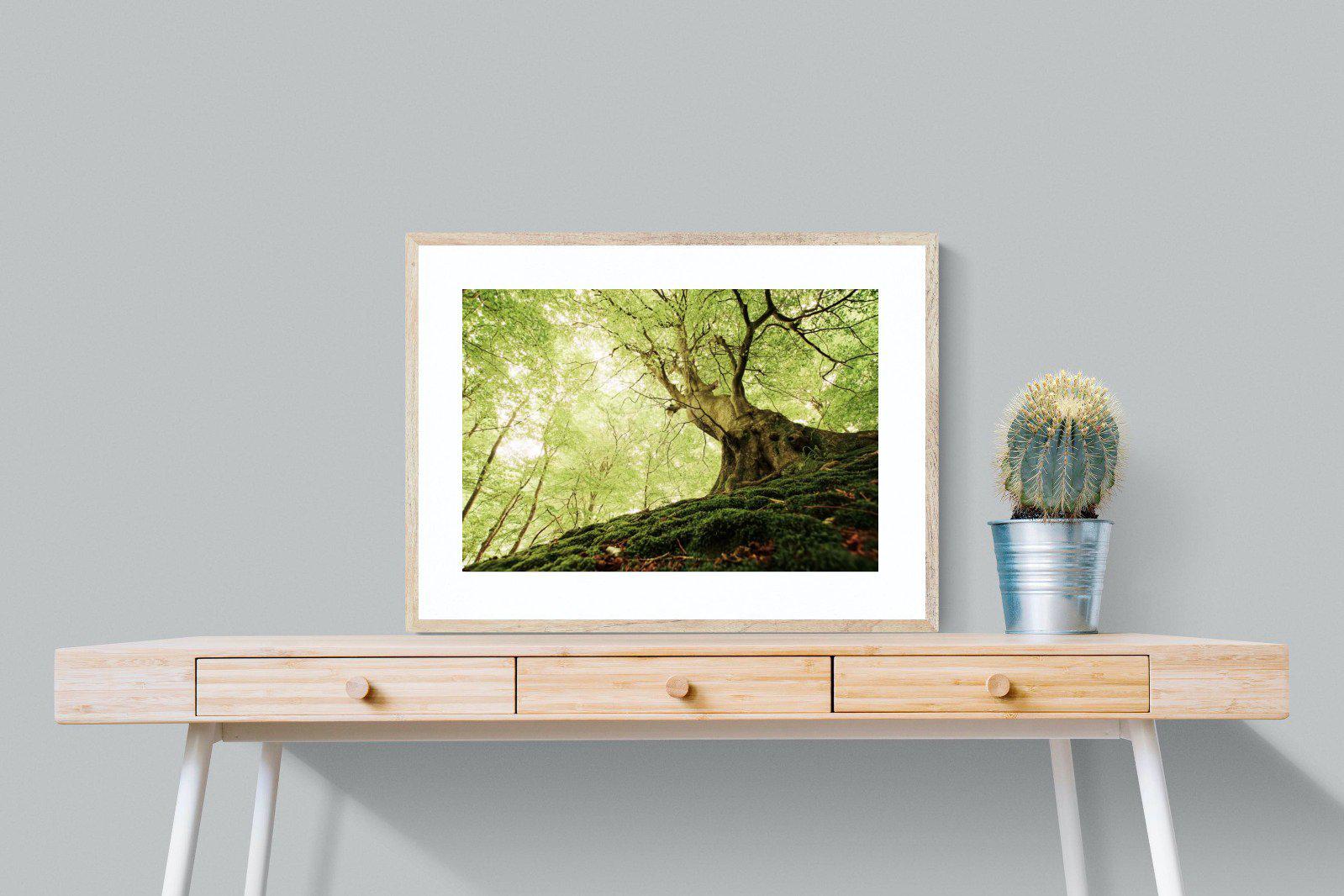 Tree-Wall_Art-80 x 60cm-Framed Print-Wood-Pixalot