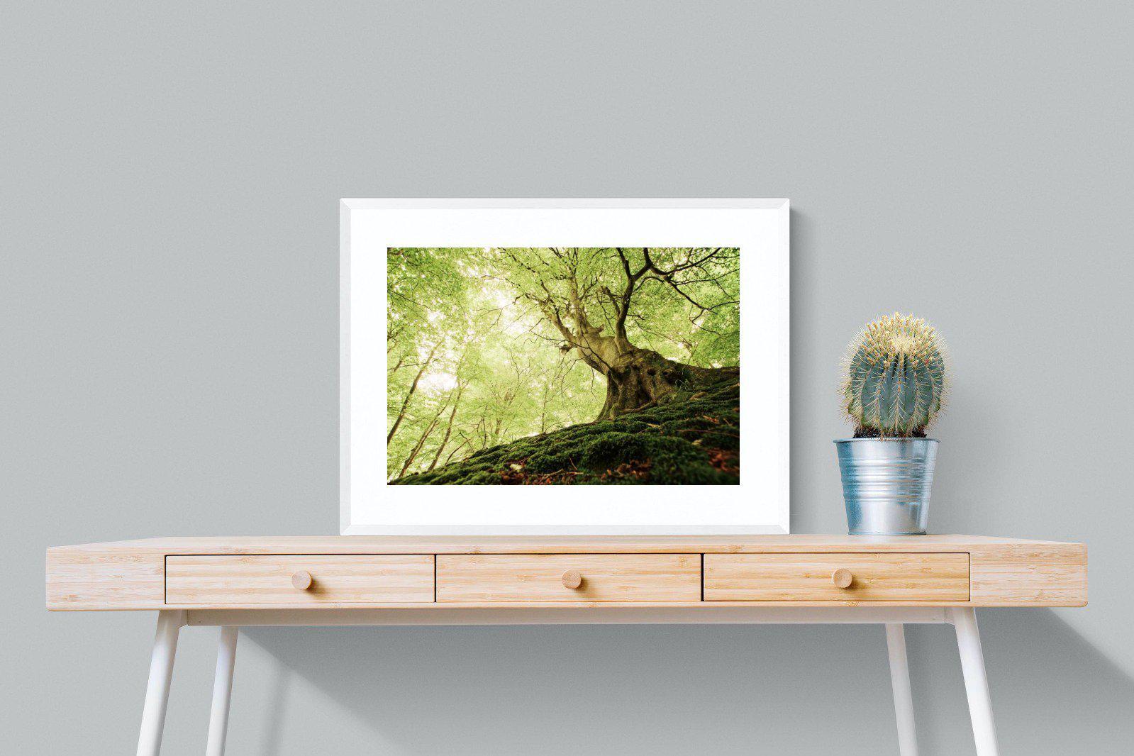 Tree-Wall_Art-80 x 60cm-Framed Print-White-Pixalot