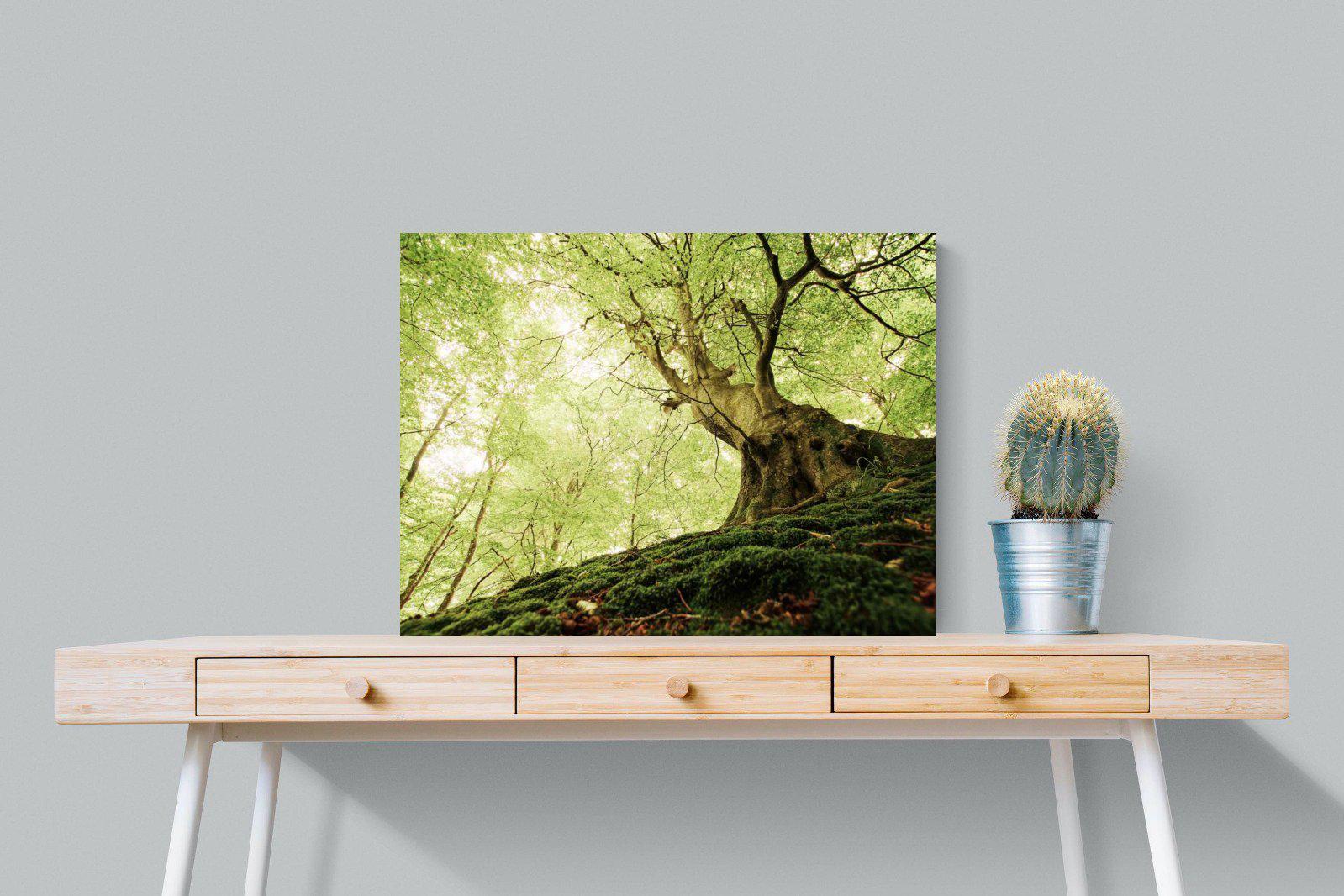 Tree-Wall_Art-80 x 60cm-Mounted Canvas-No Frame-Pixalot