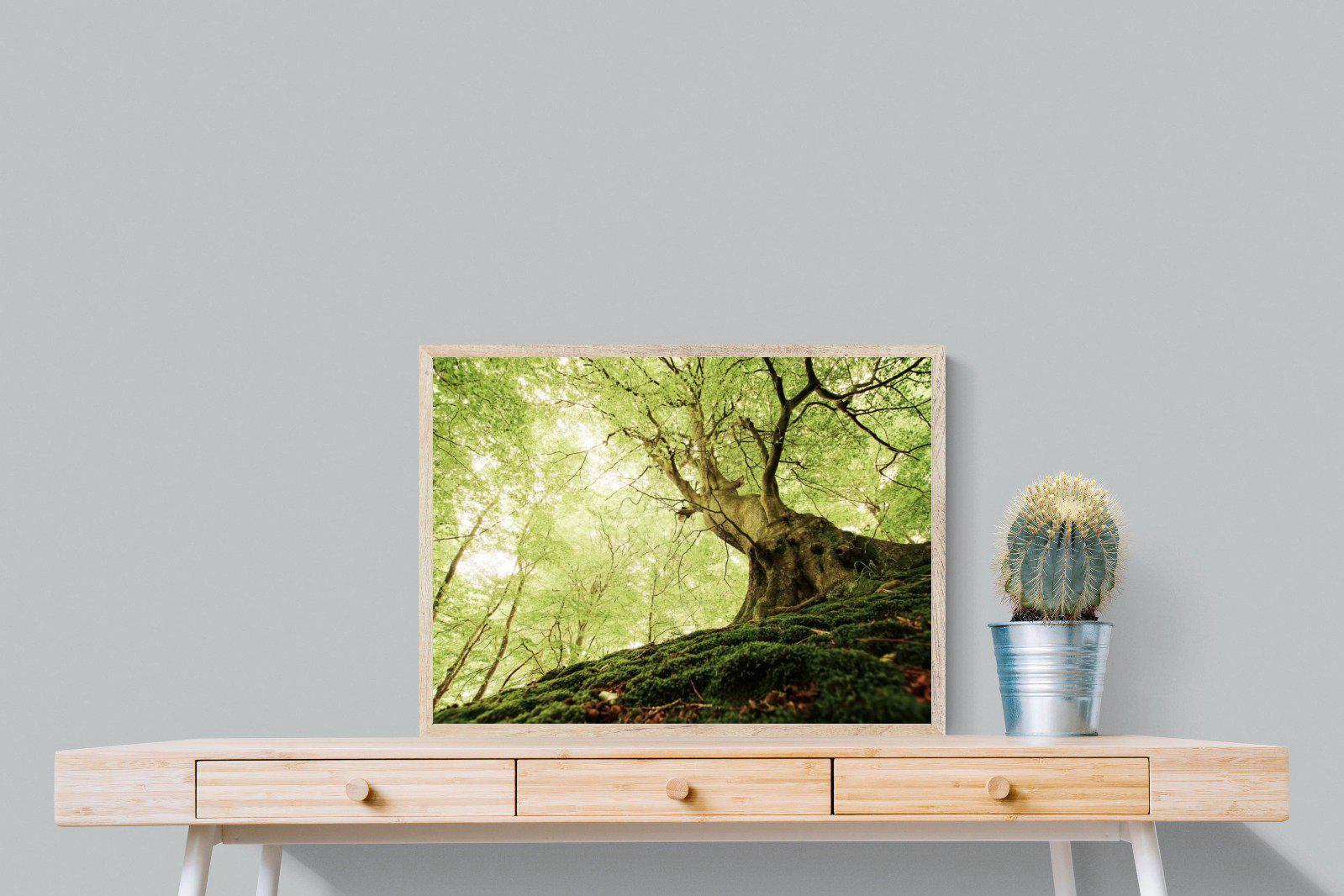 Tree-Wall_Art-80 x 60cm-Mounted Canvas-Wood-Pixalot