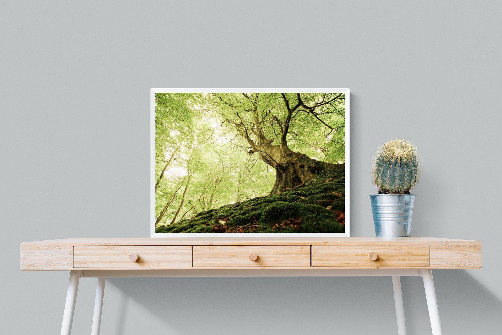 Tree-Wall_Art-80 x 60cm-Mounted Canvas-White-Pixalot